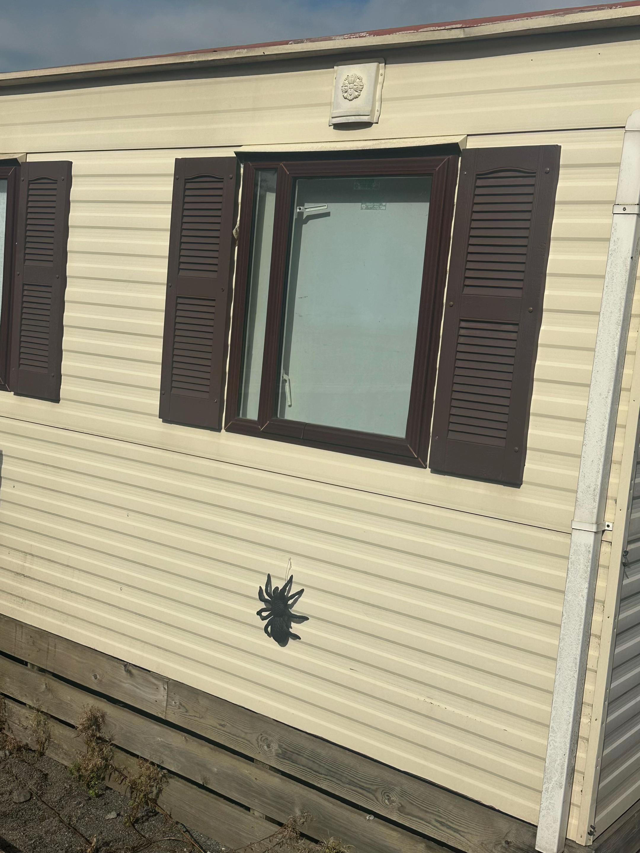 @The Spider Caravan