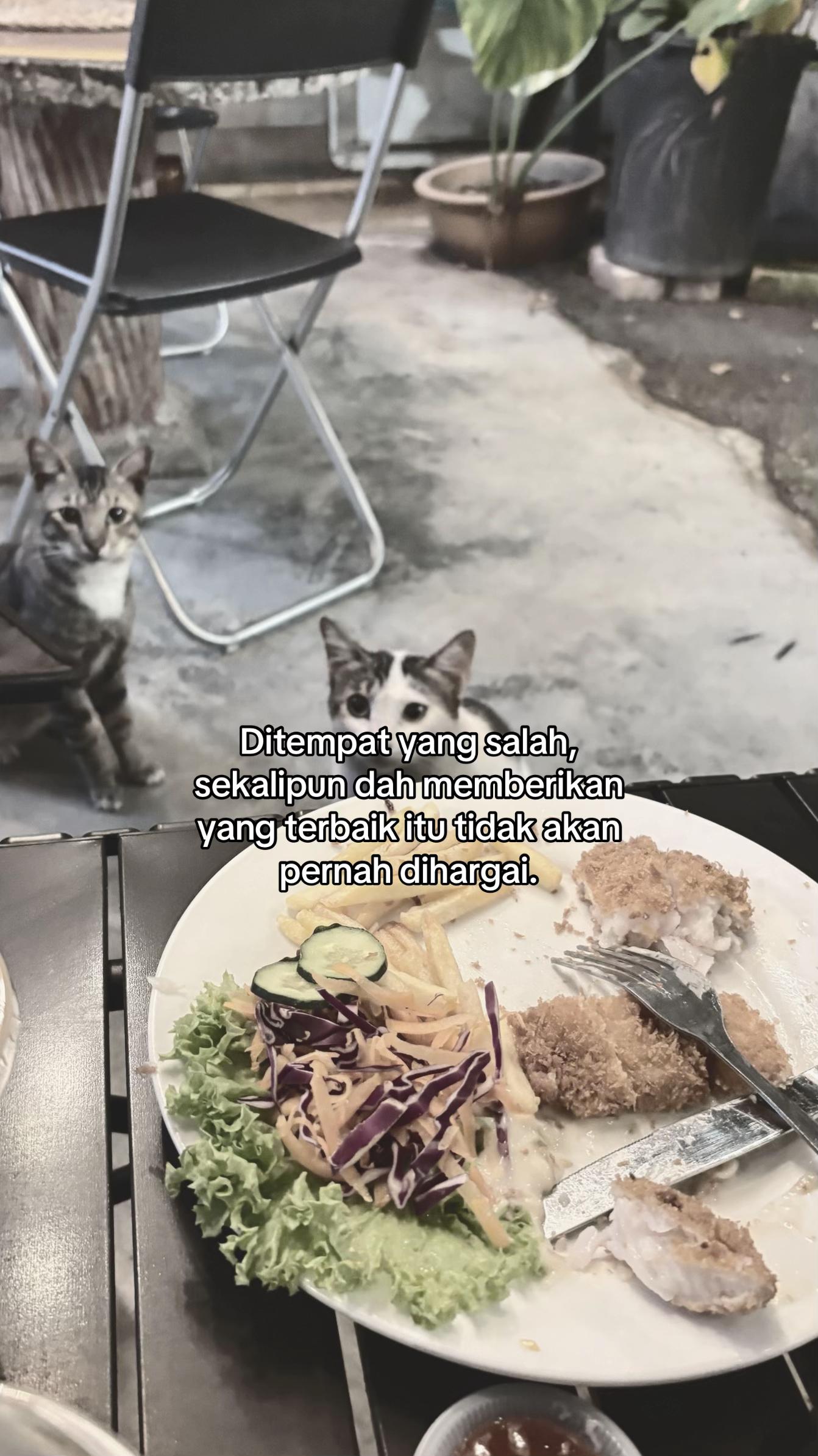 @𝑨.