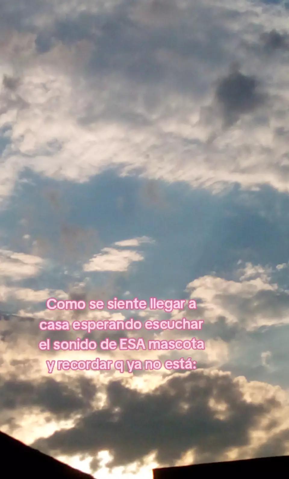 @ᯓ𖤐 𝓕𝓻𝓮𝓼𝓲𝓽𝓪 ⃝꒷꒦⊹ ིྀ