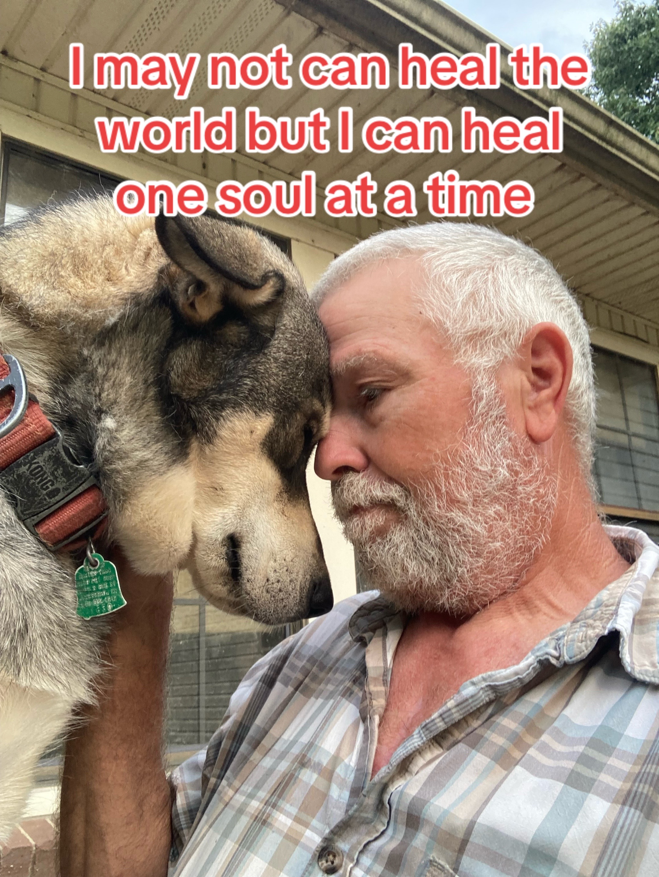 @MrAnimalRescuer