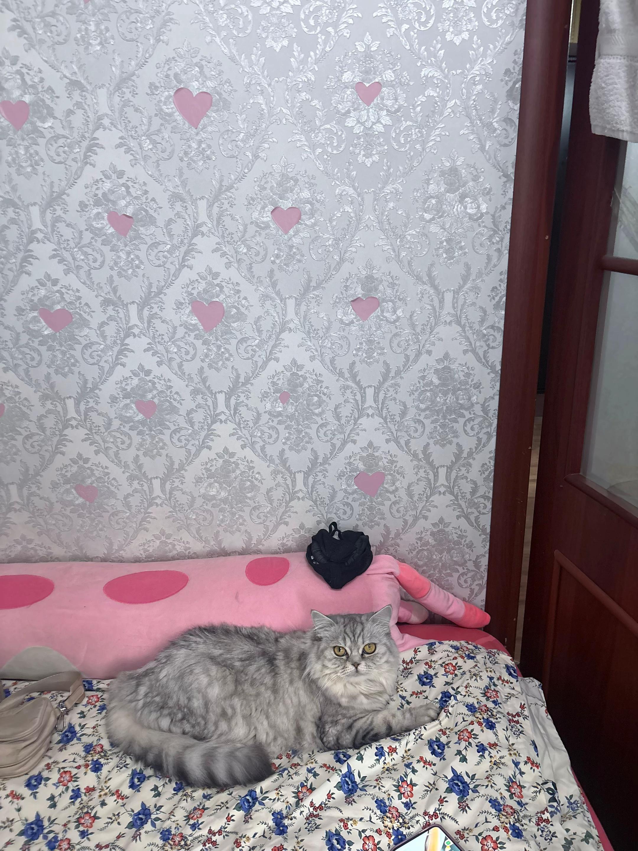 @дашк