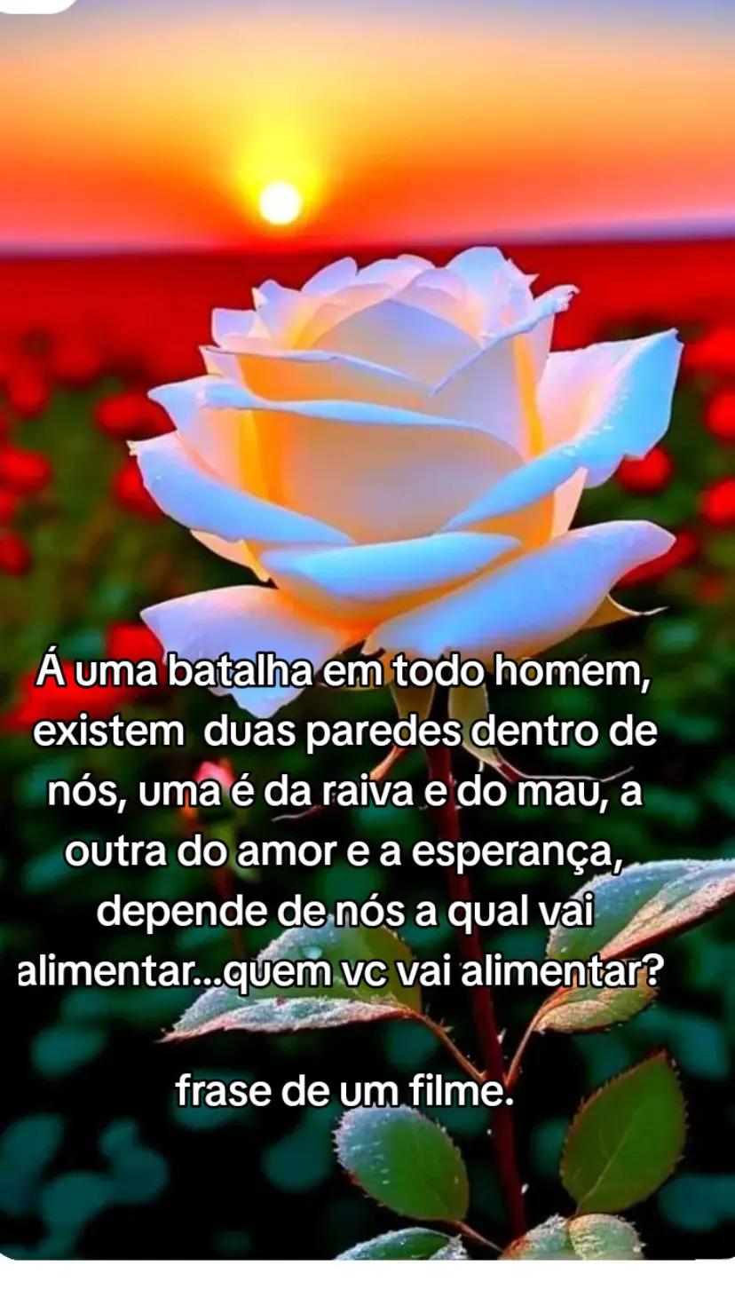 @Elen Bezerra