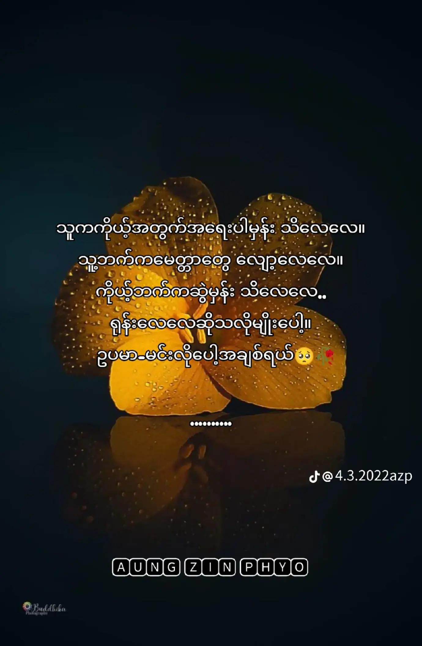 @Nyo Nyo HtWe