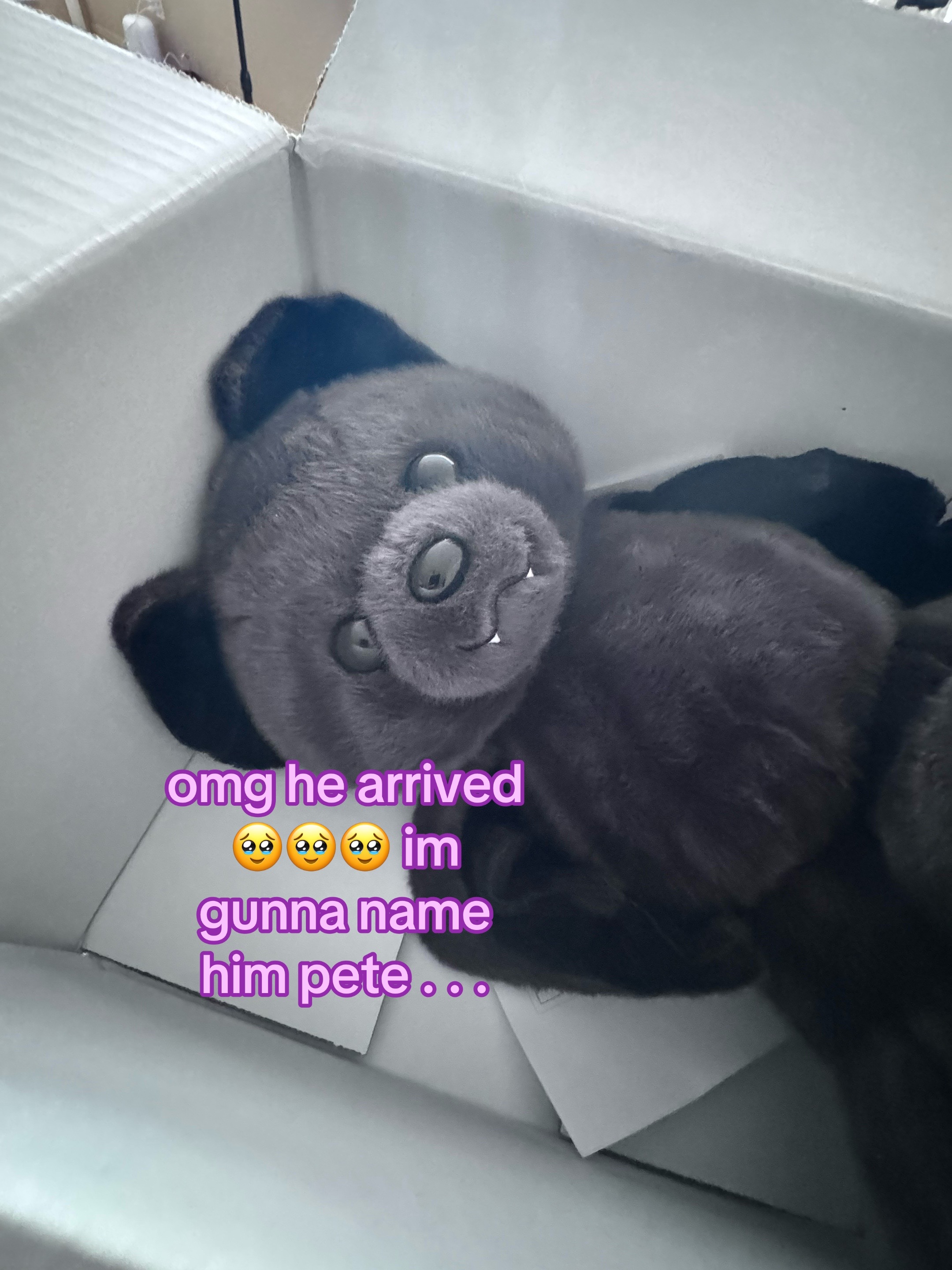 @𝑅𝑒𝑛𝑎𝑟𝑑 𝗐𝖺𝗒 ✦ ꫂ&nbsp;ၴႅၴ