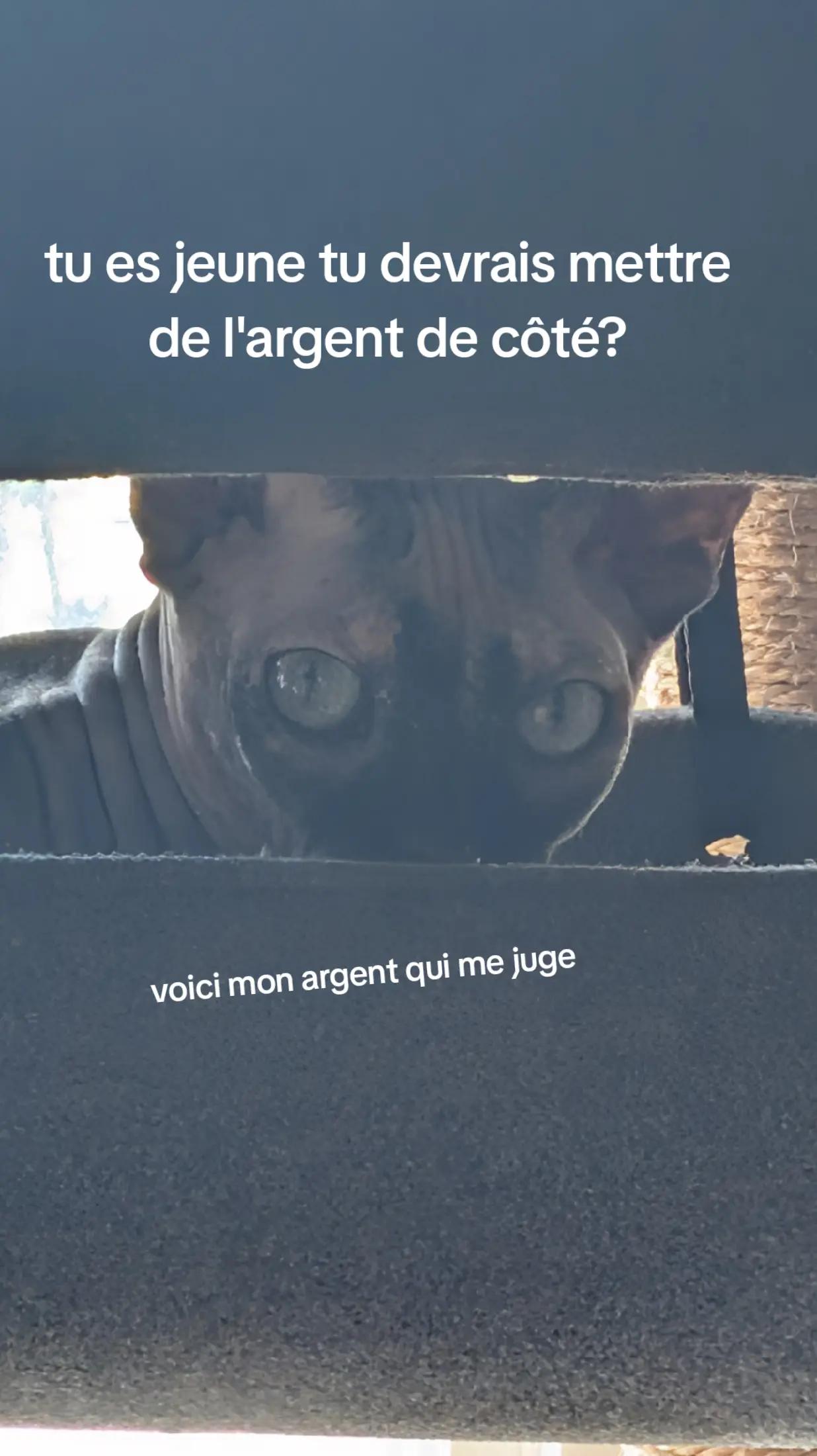 @Amy_dusoleildanstajournee