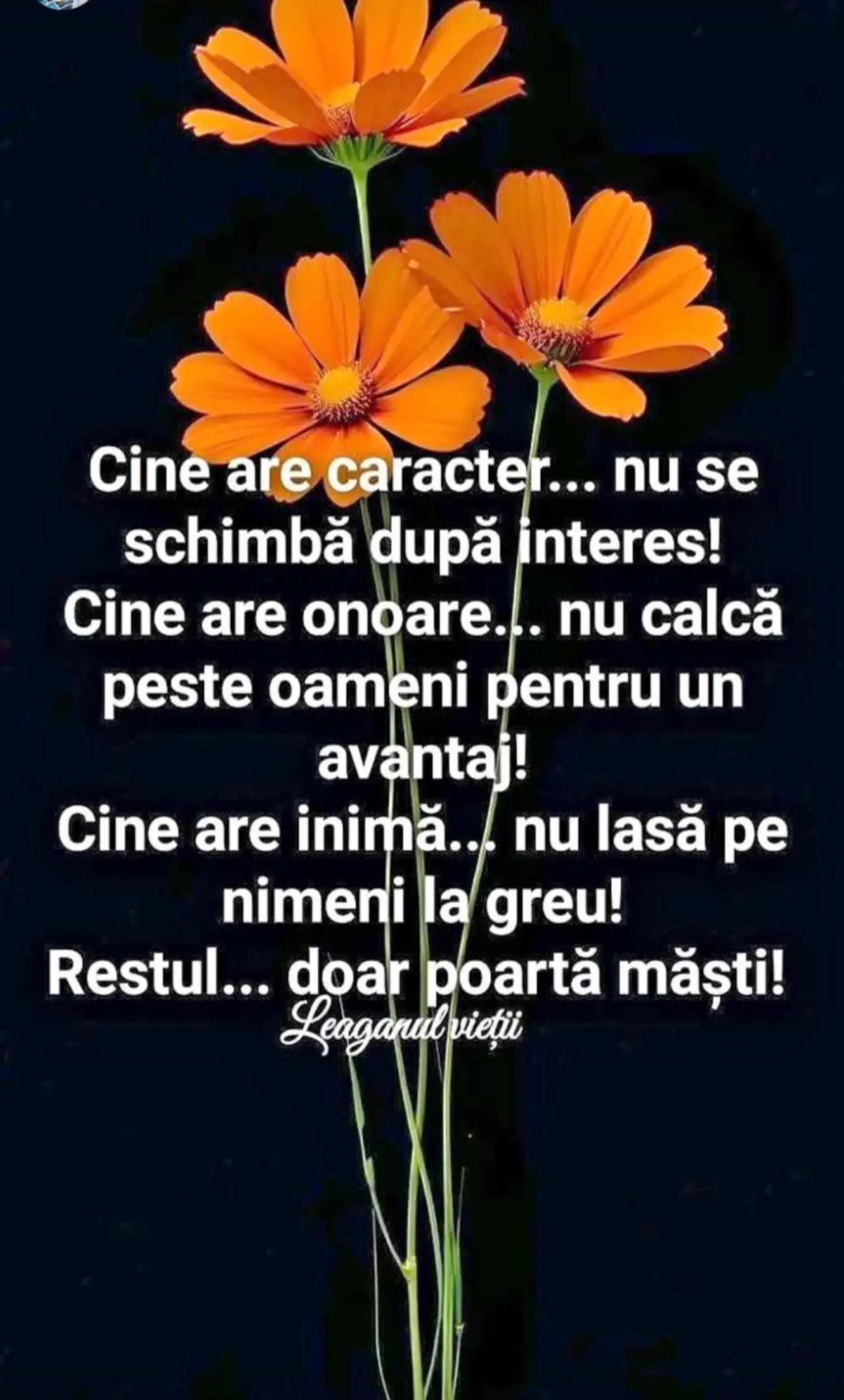 @maria