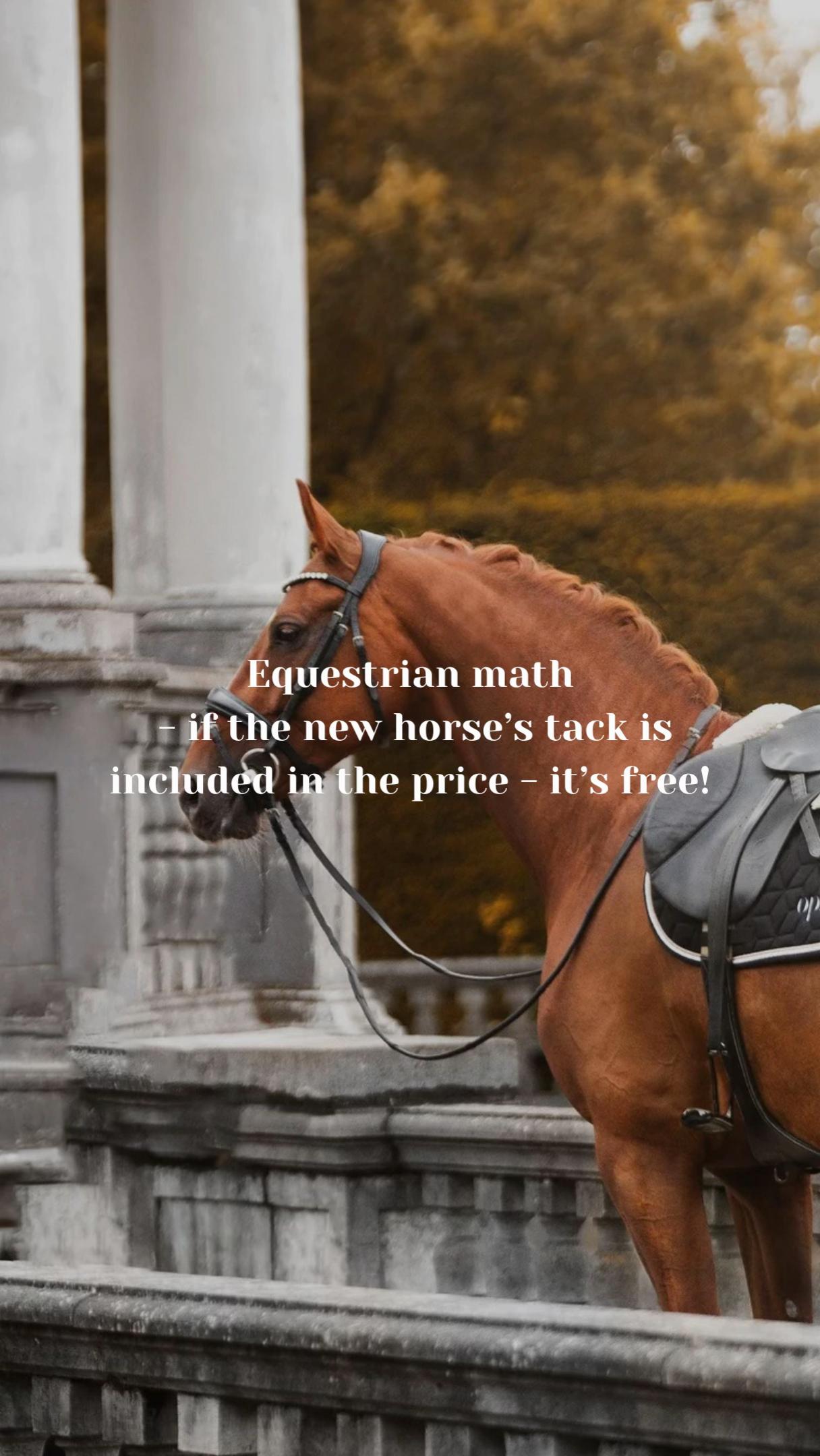 @LumiereEquestrian