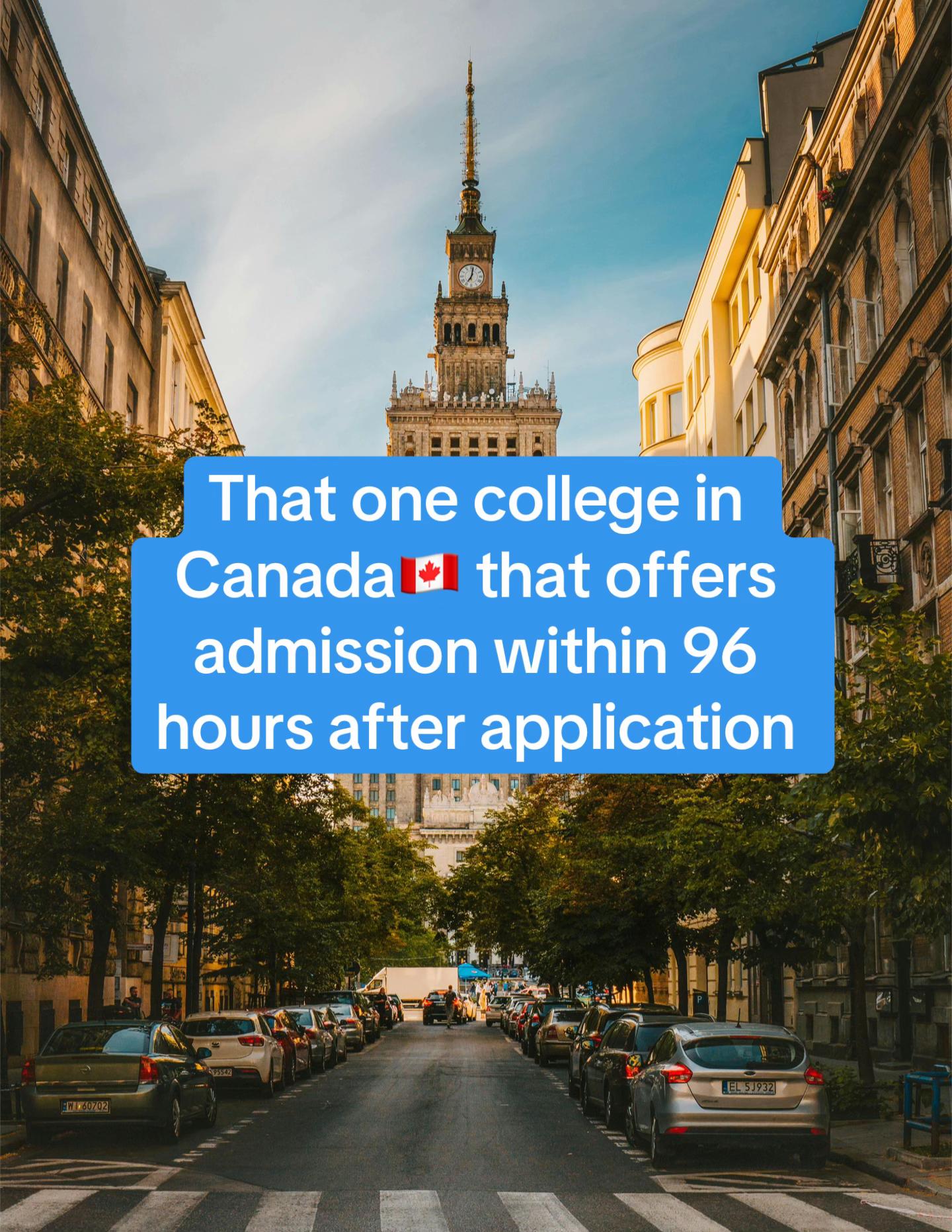 @Your Surest Study Abroad Plug