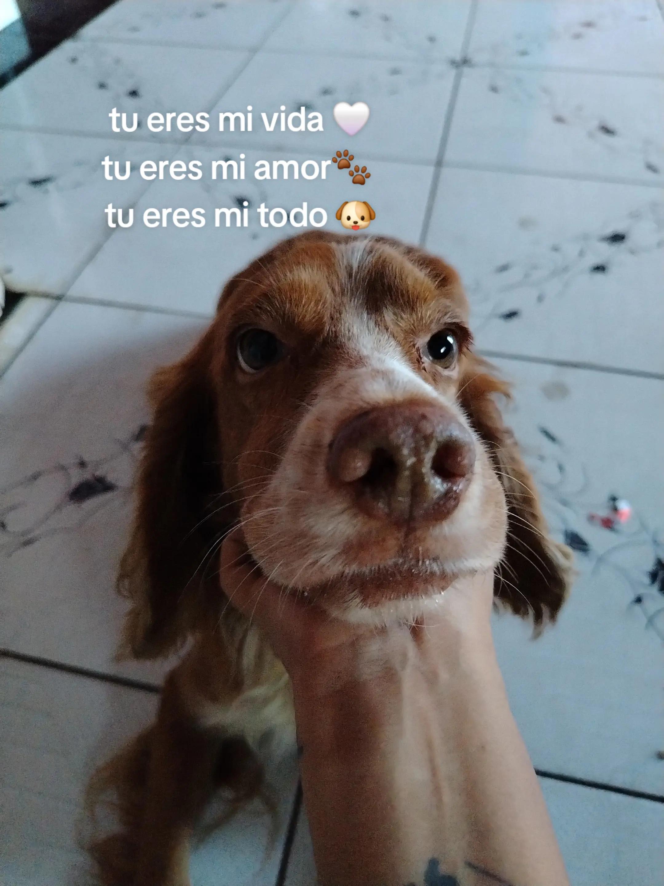 @Canela🐼