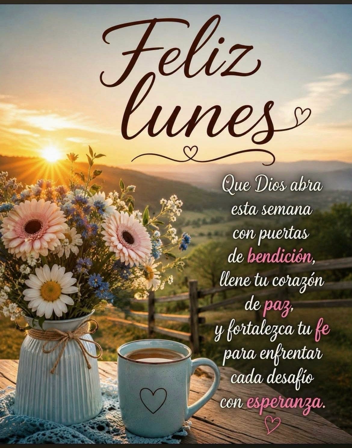 @Dámaris