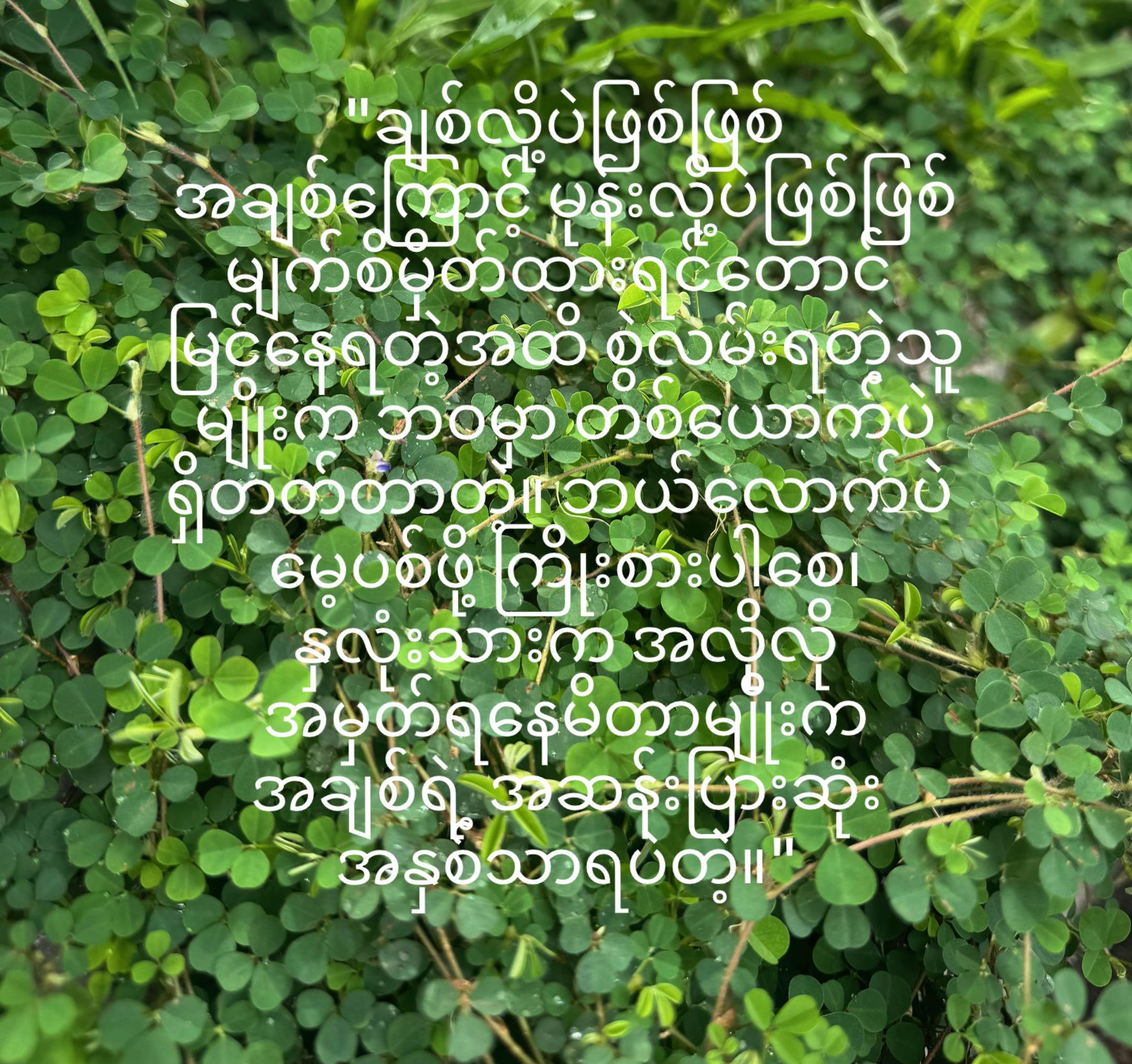@Han Thu96