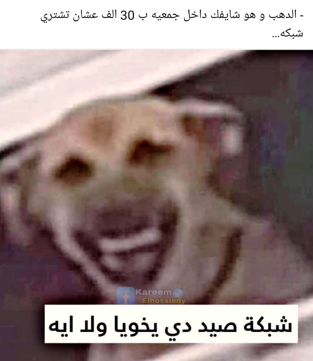 @ahmed