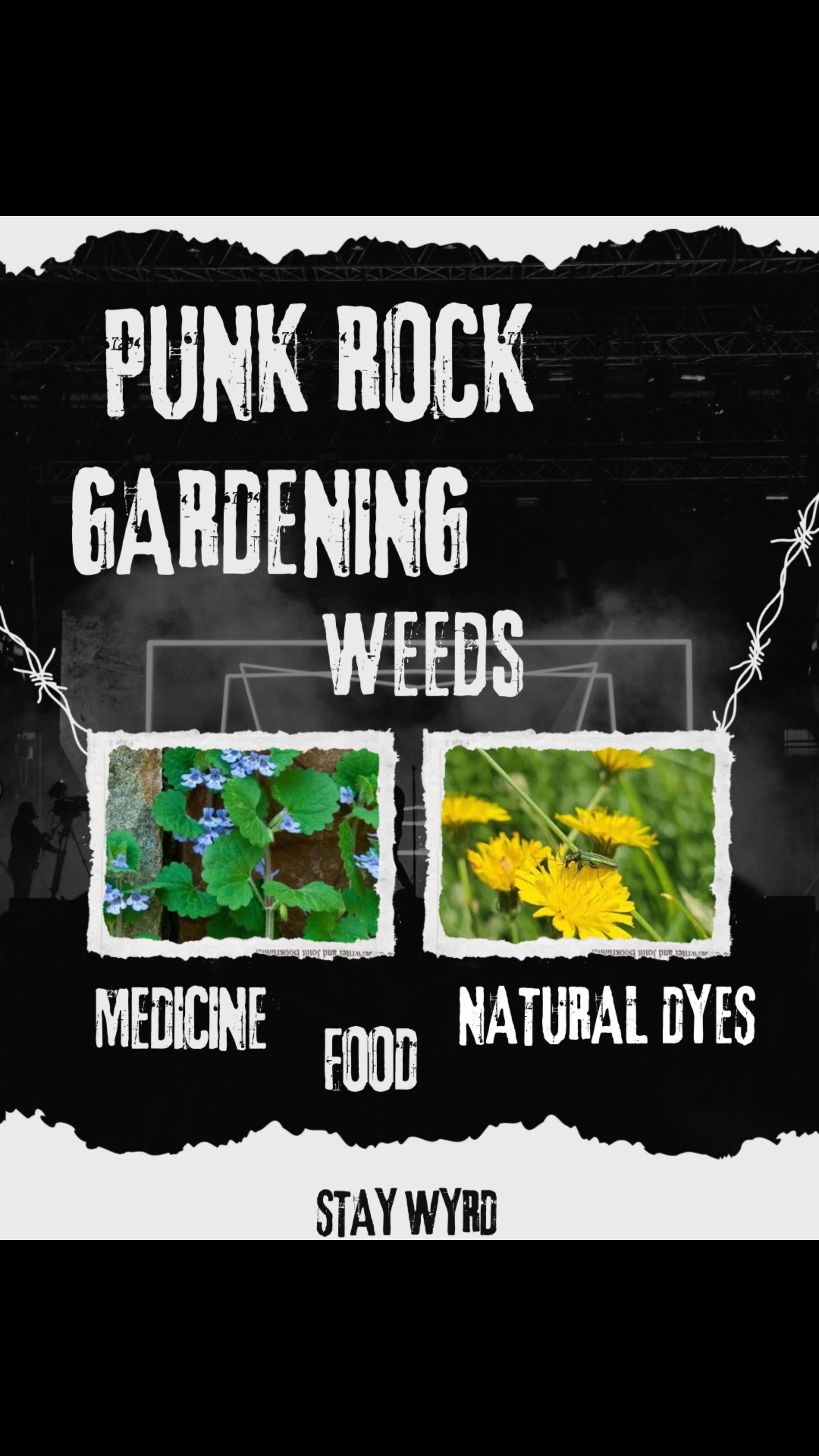 @WitchofWyrd🍁🇨🇦