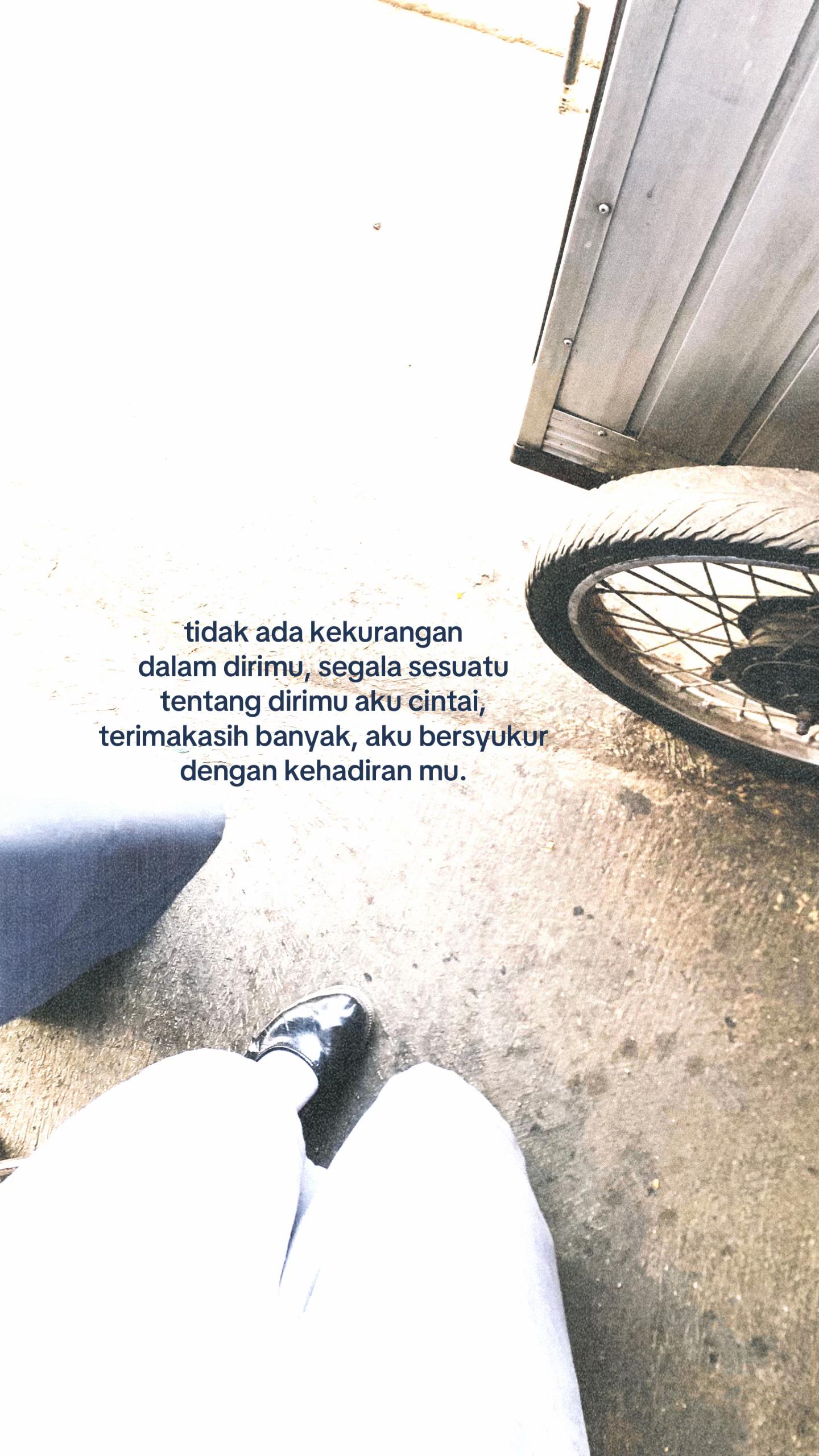 @tamaa