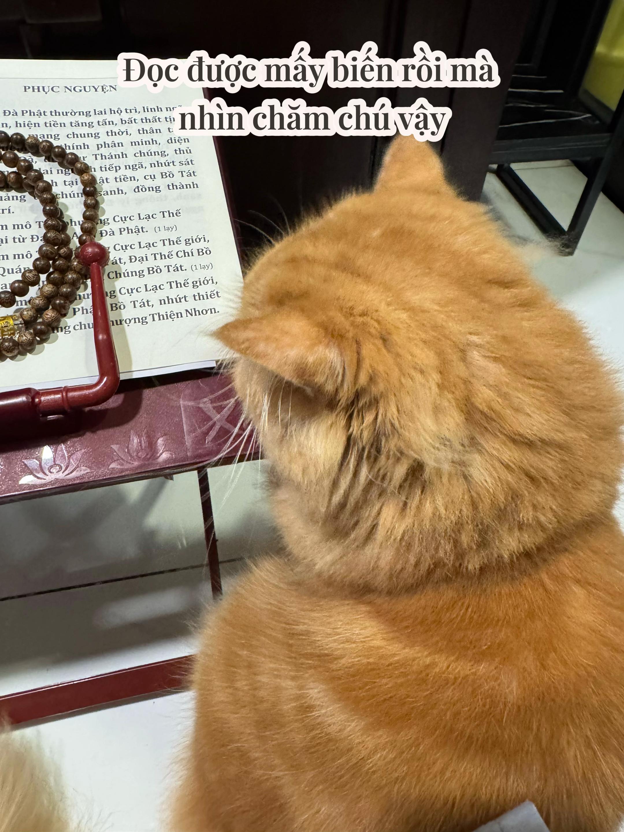 @Duy Nè đã chặn bạn