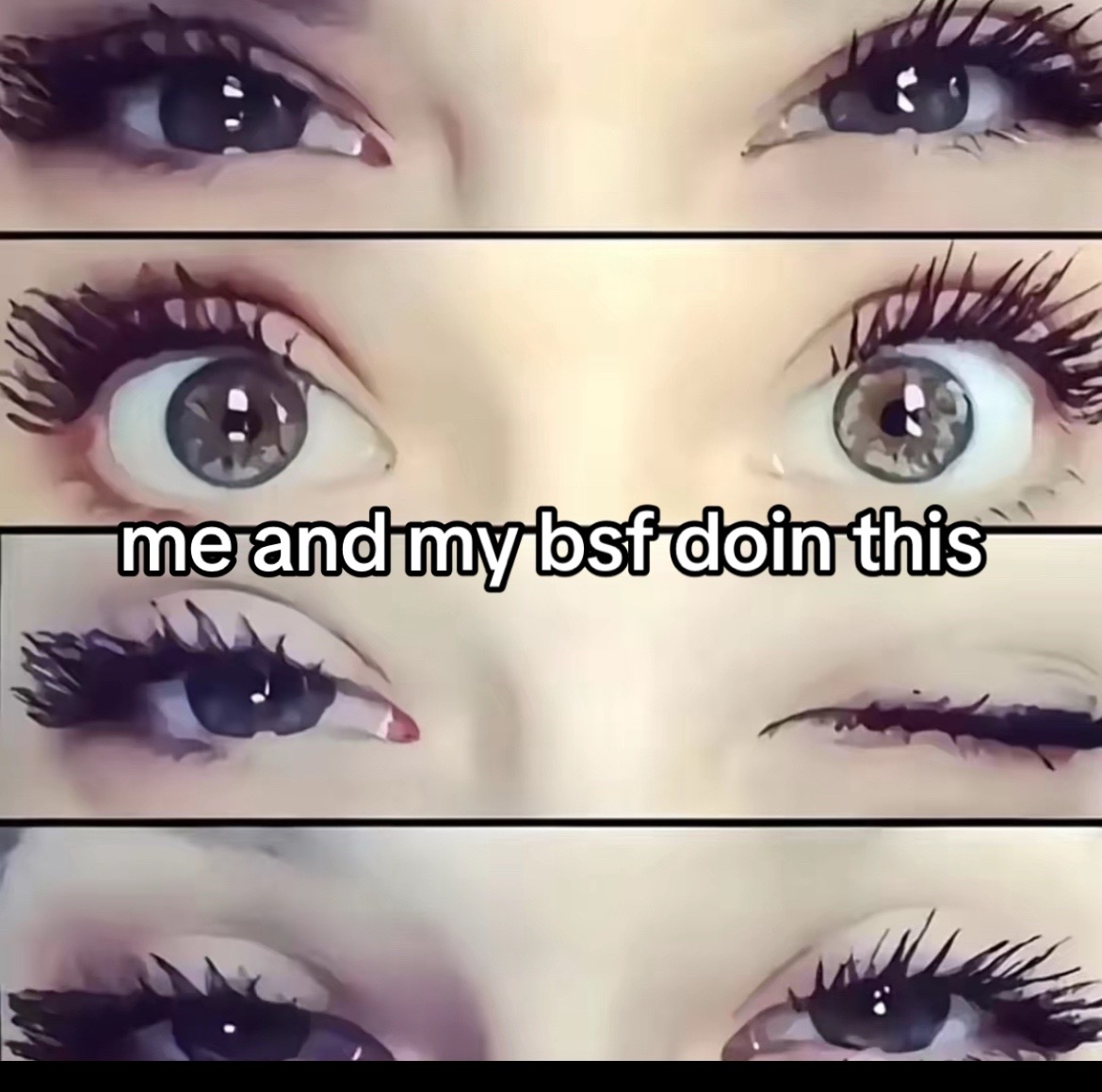 @leiaa