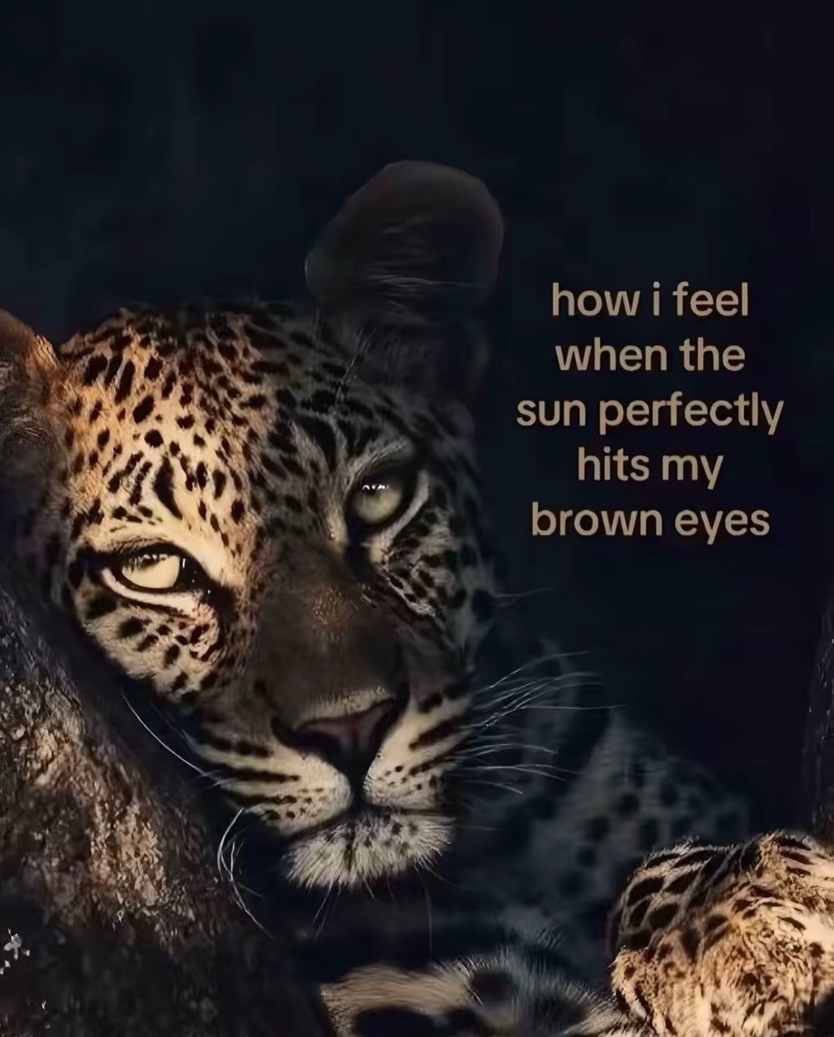 @𝐁 💋