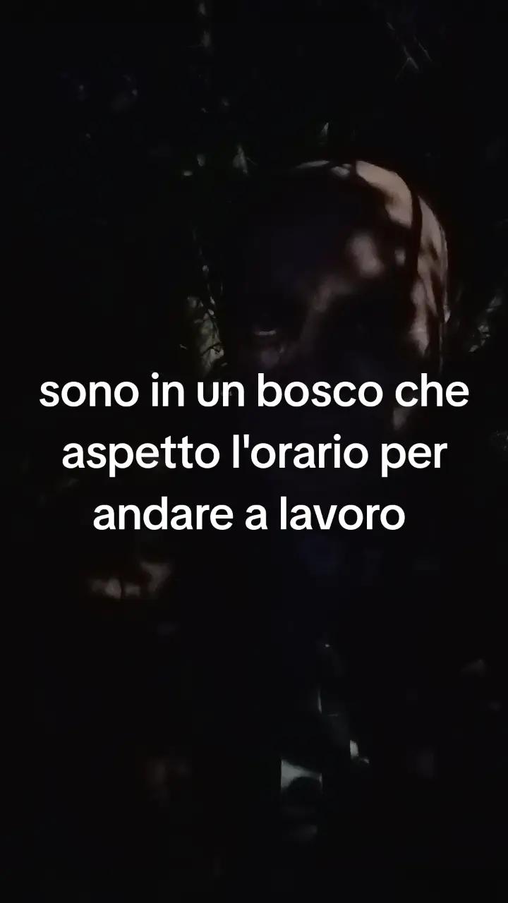 @ivor.ongaro