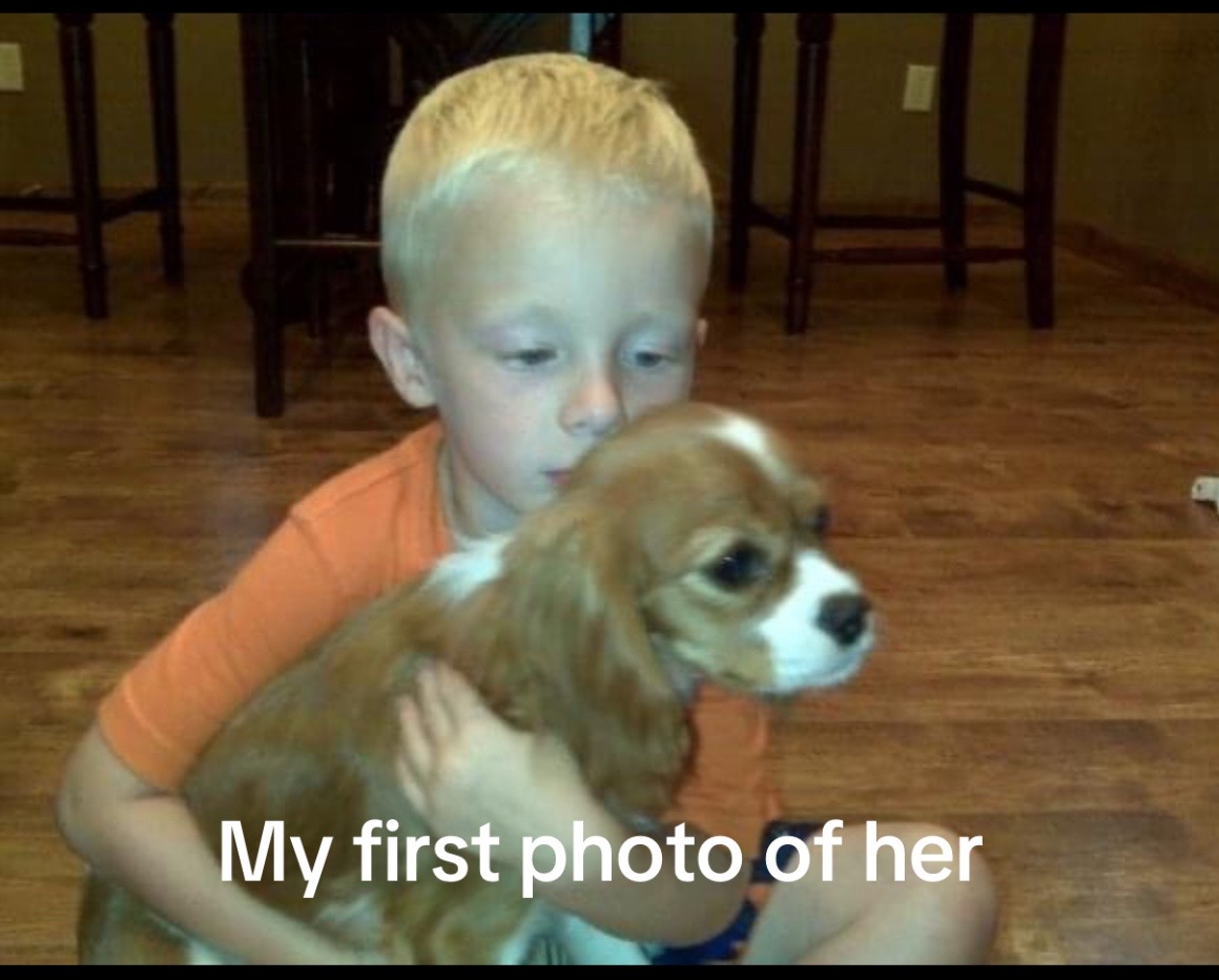 @Morgan Gilbert - Frewaldt