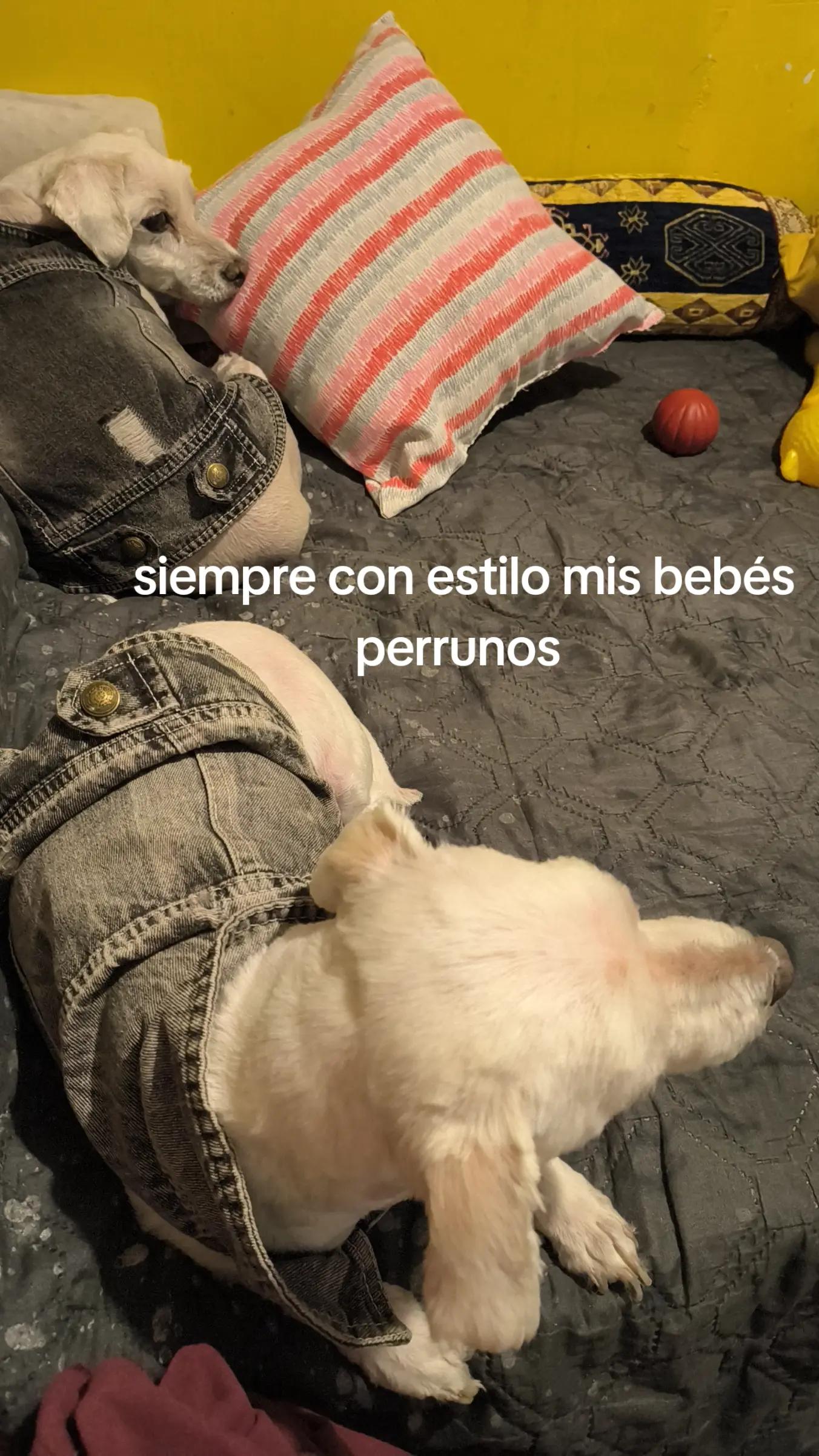 @uberlinda
