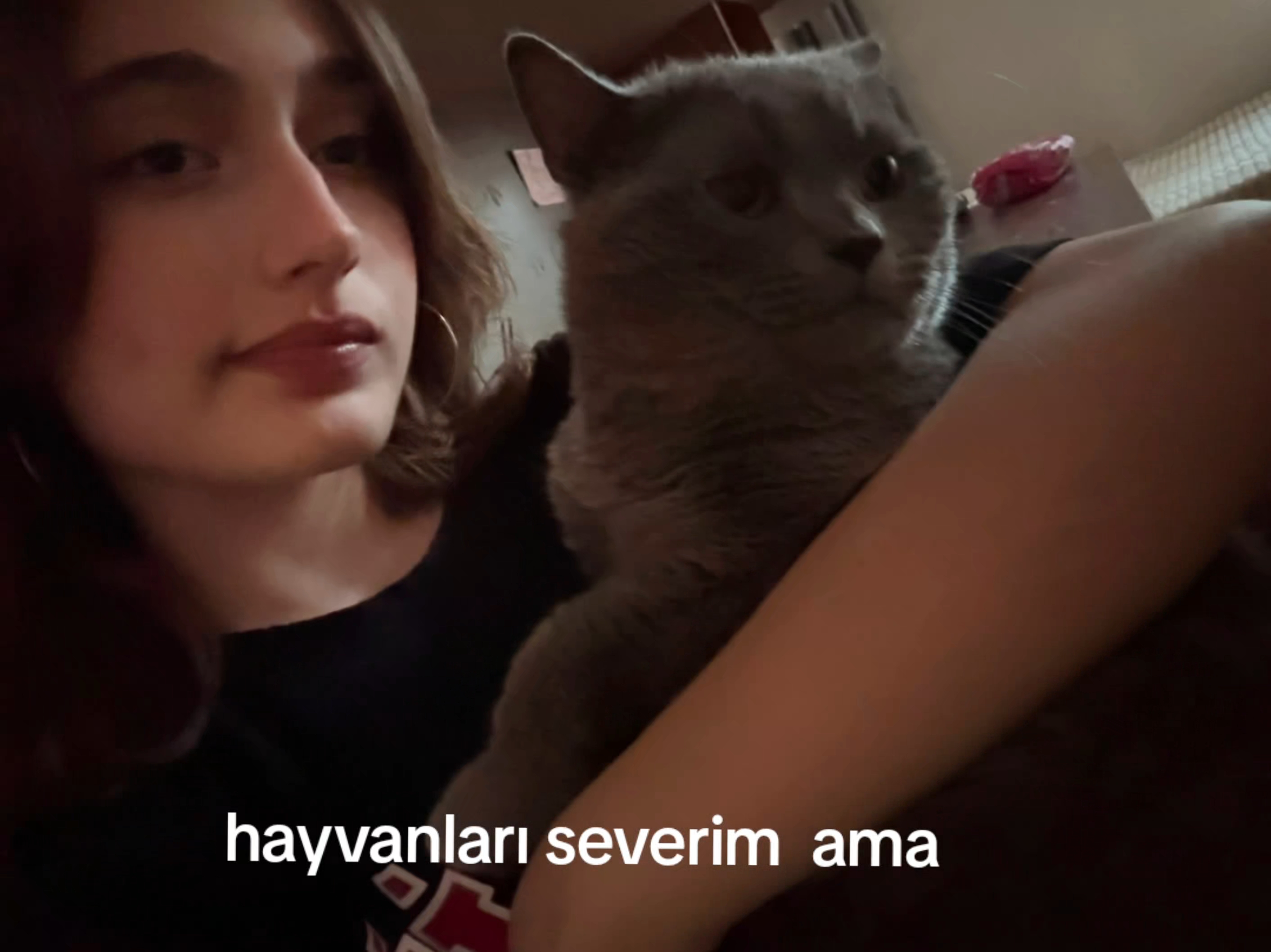 @ll.edawws54