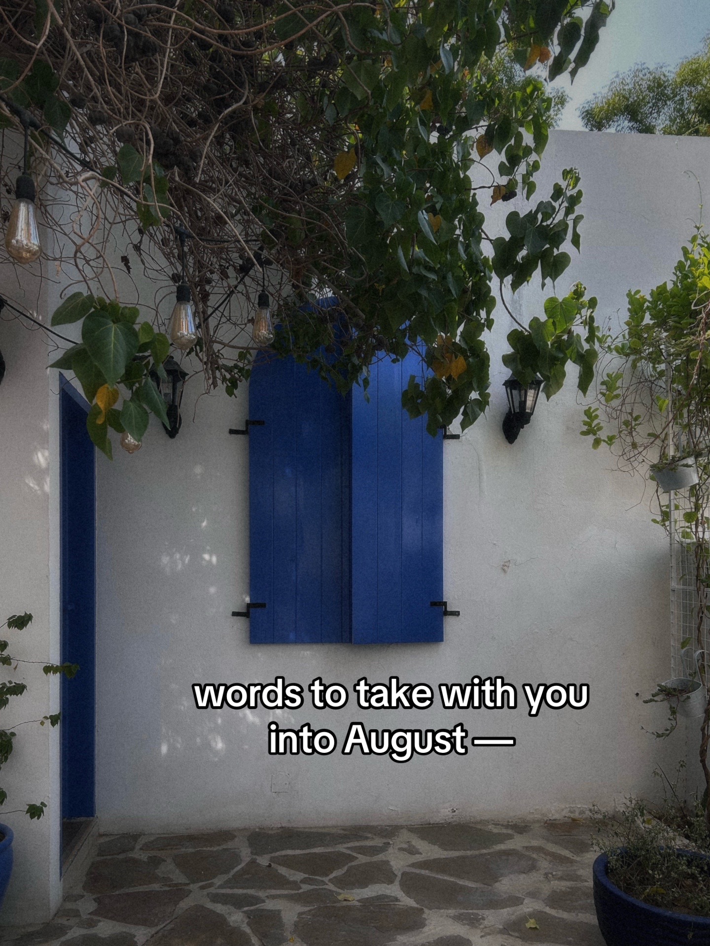 @Thought Catalog