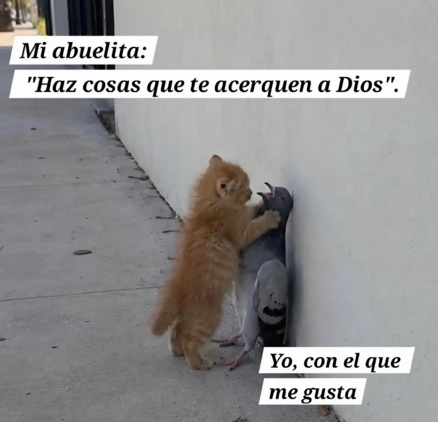 @Carlos Alberto