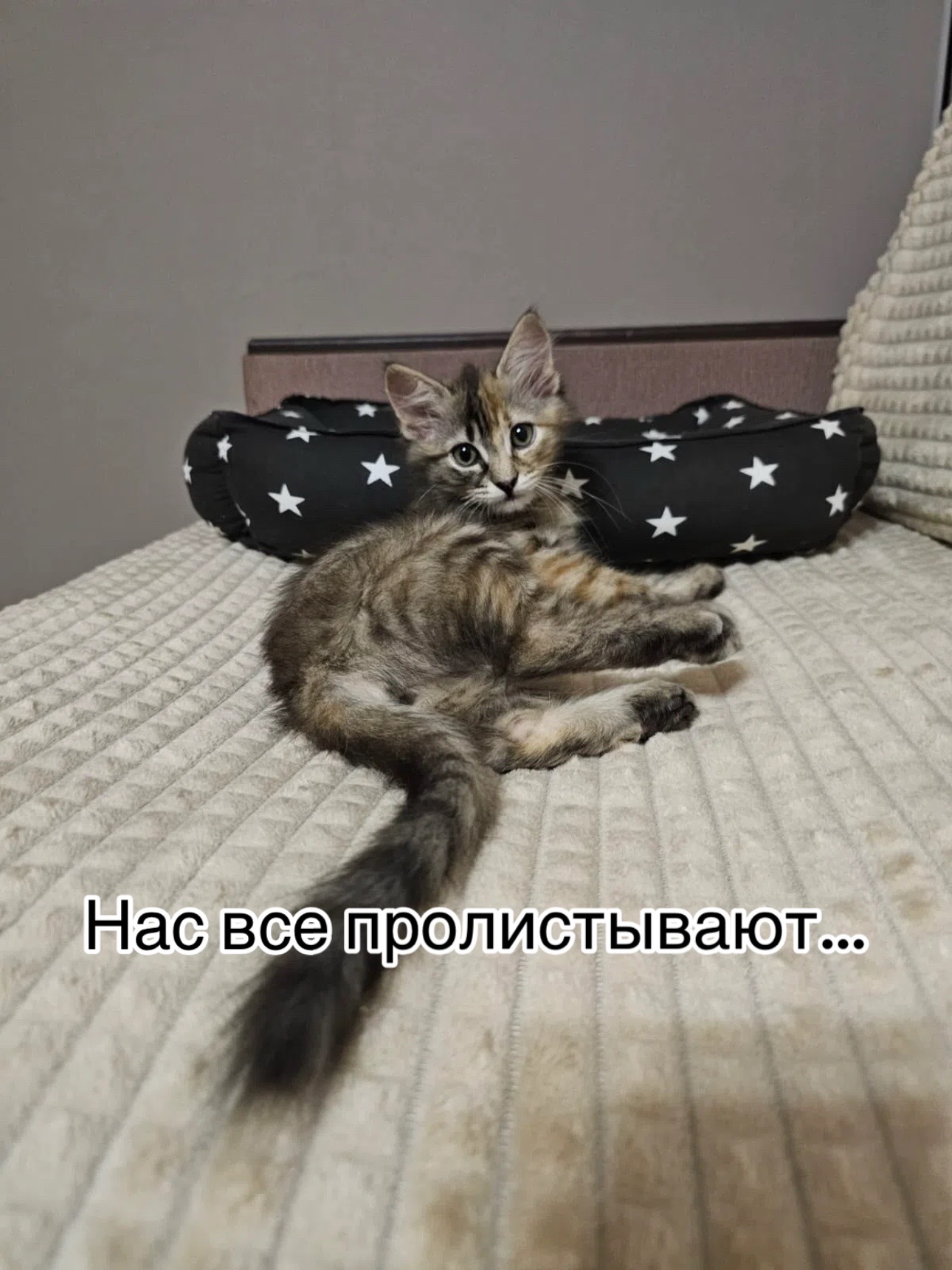 @Приют для животных Потеряшка