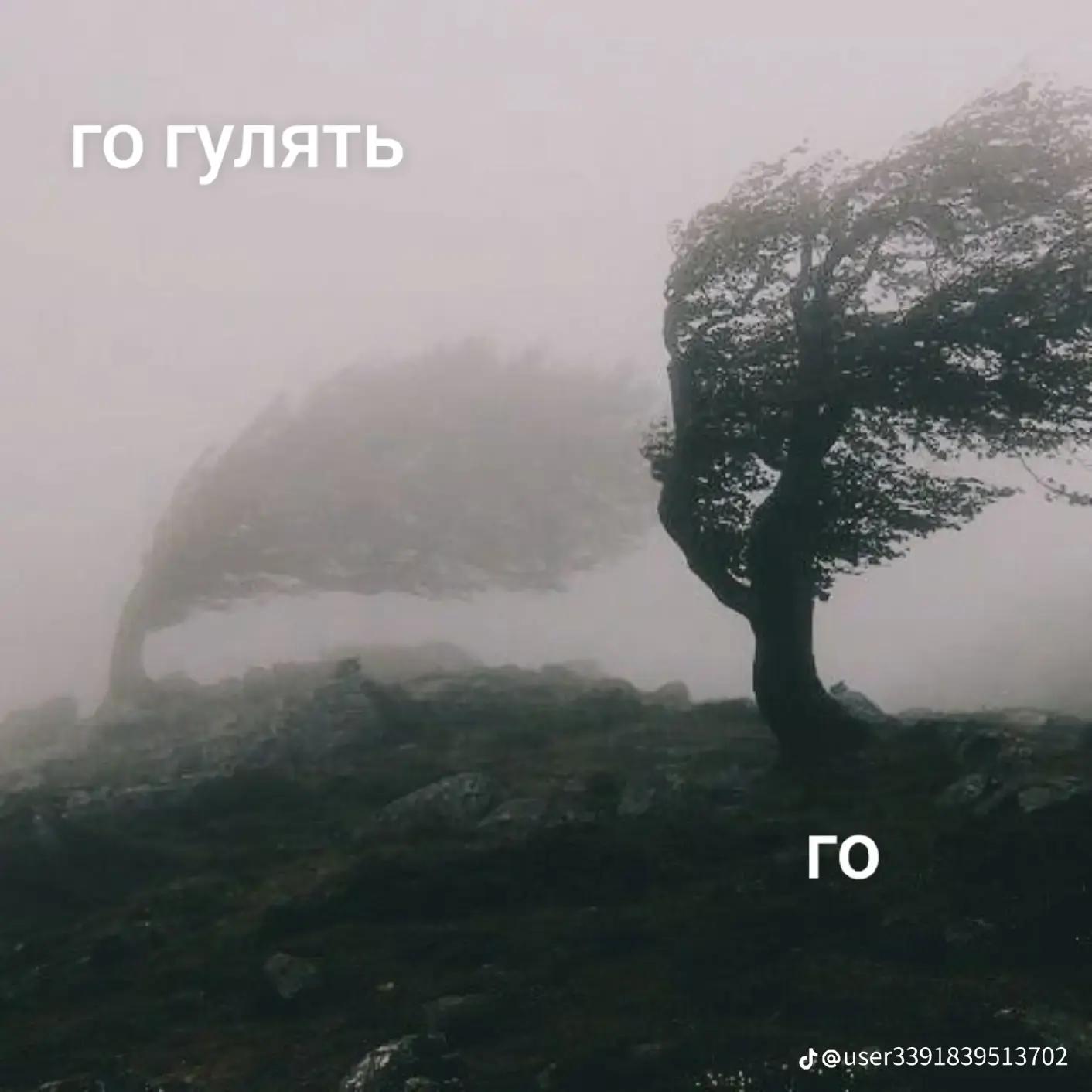 @𝑫𝒐𝒏𝒂𝒓𝒂_𝒒𝒖𝒆𝒆𝒏👑🥥🪽✨