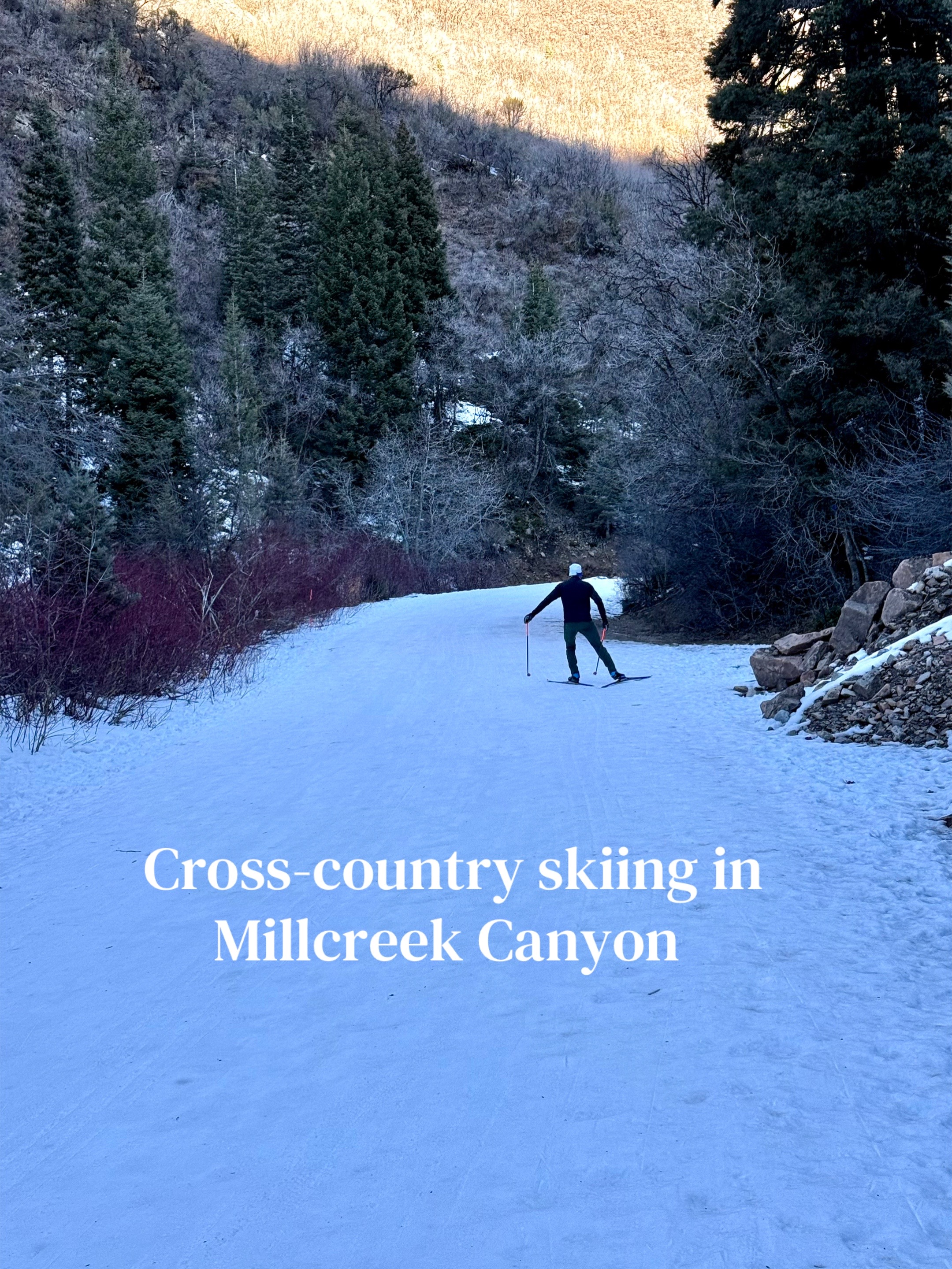 @Year Round Explorers