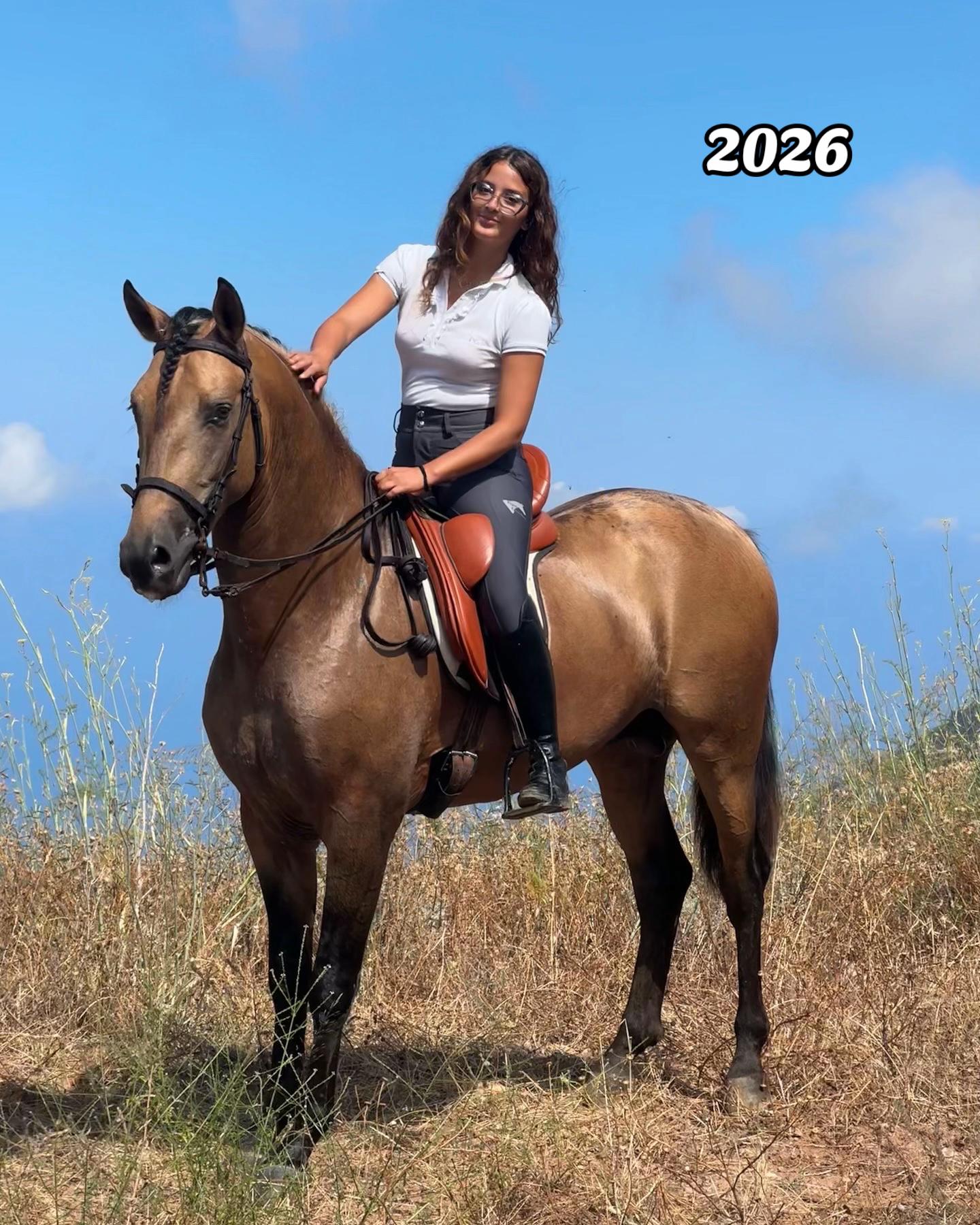 @Chiara Vitali 🐴