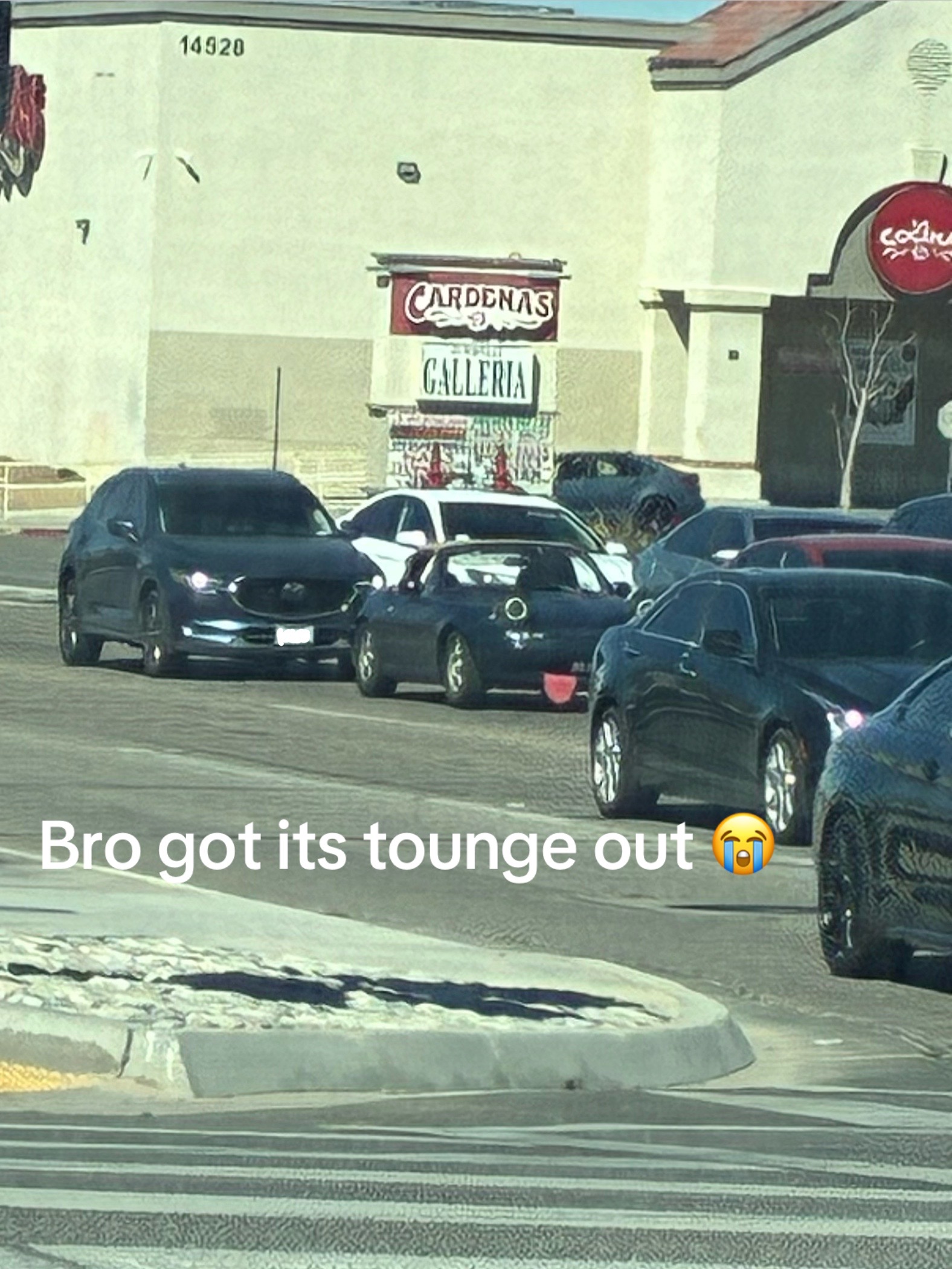 @burr640