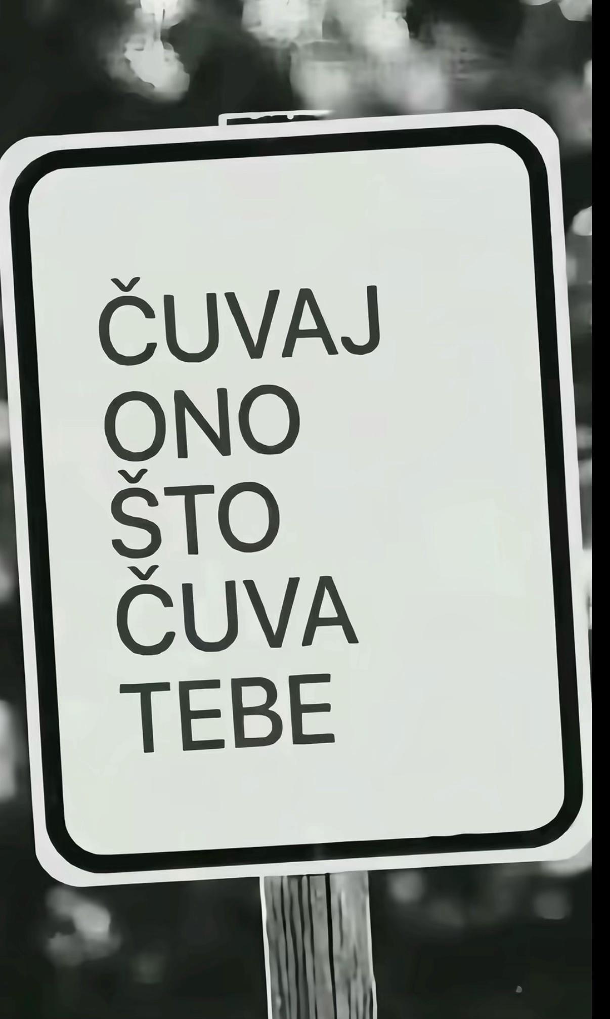 @nemanjamirkovicc