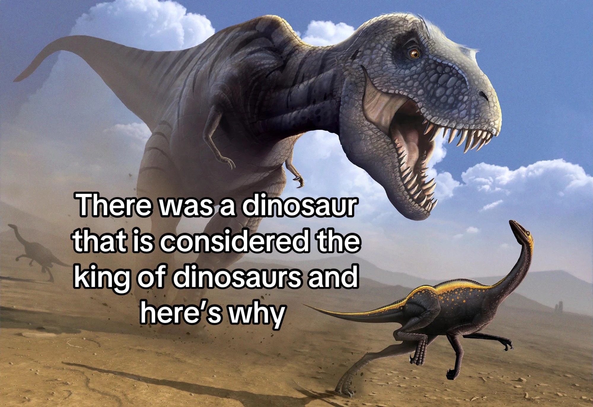 @basicallygeographic