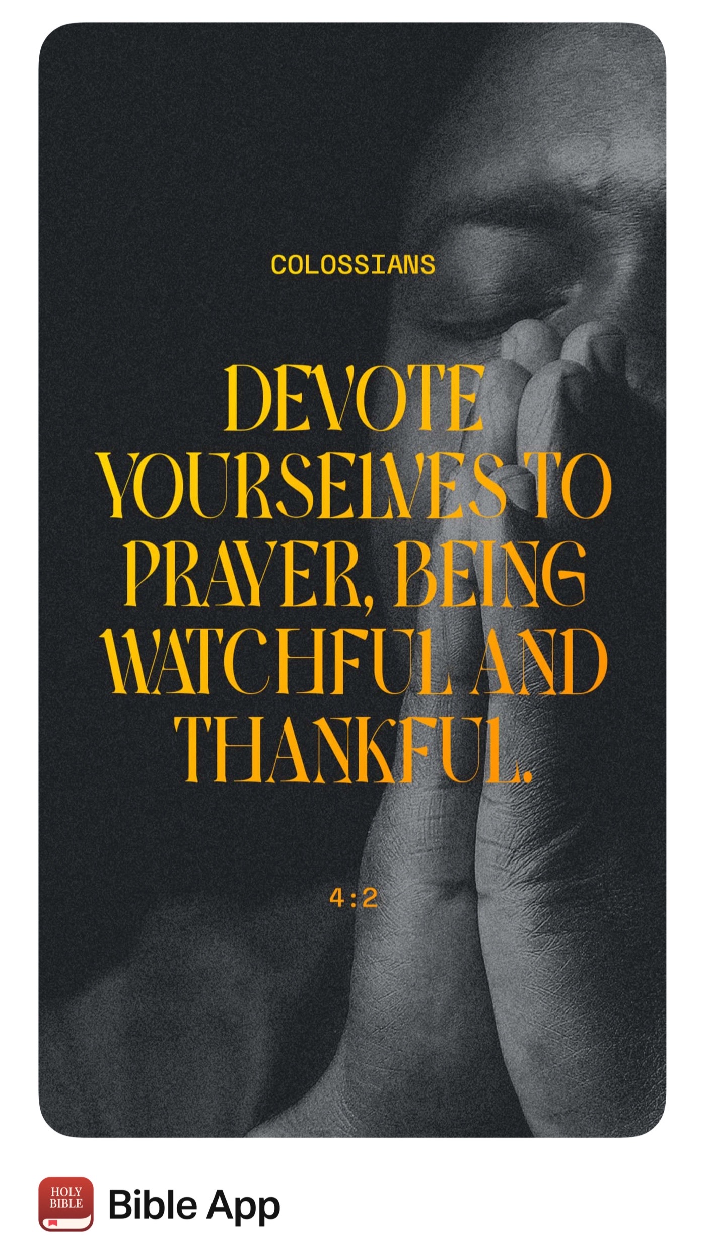 @Grace Grace
