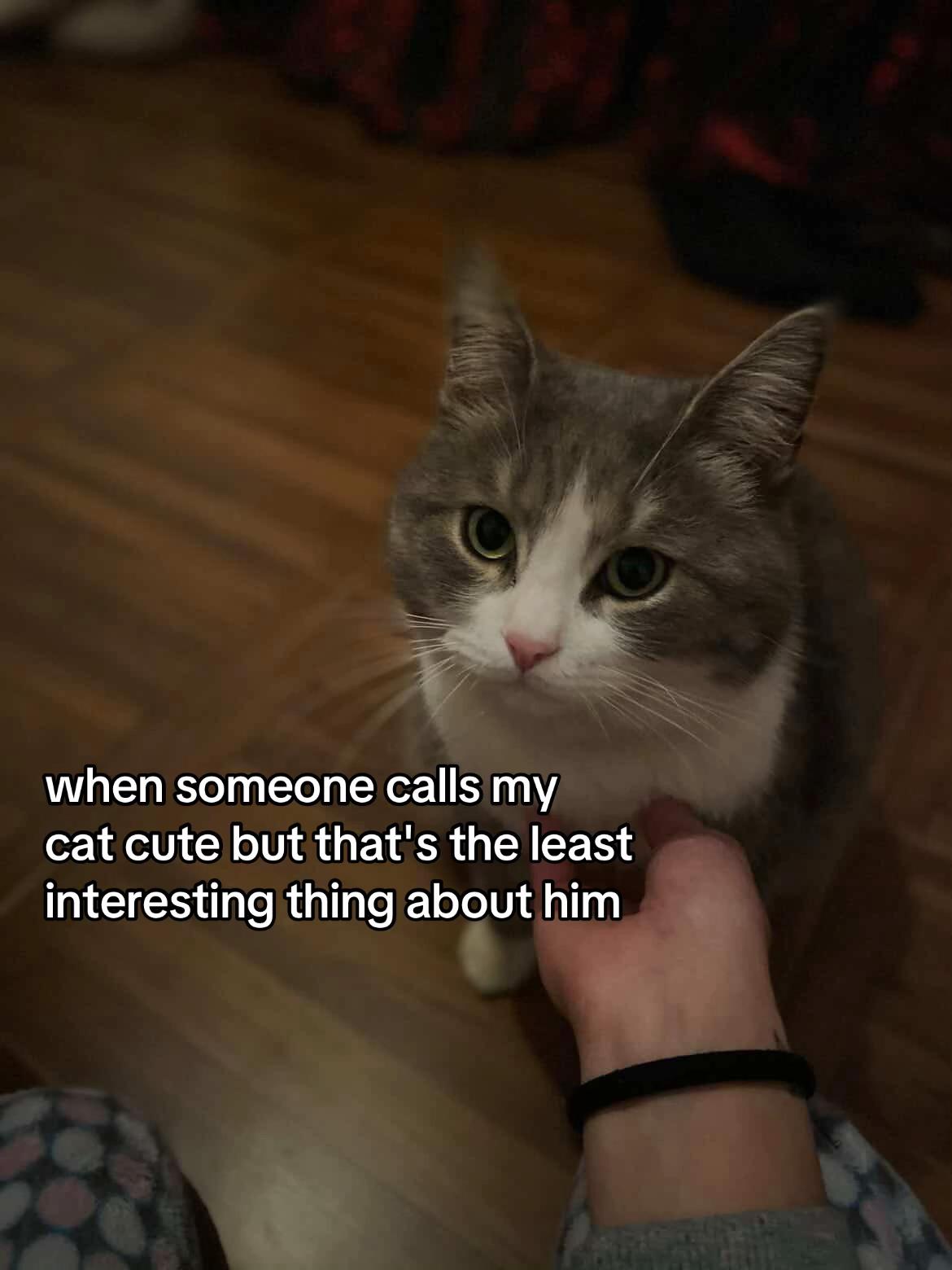 @teo.amore