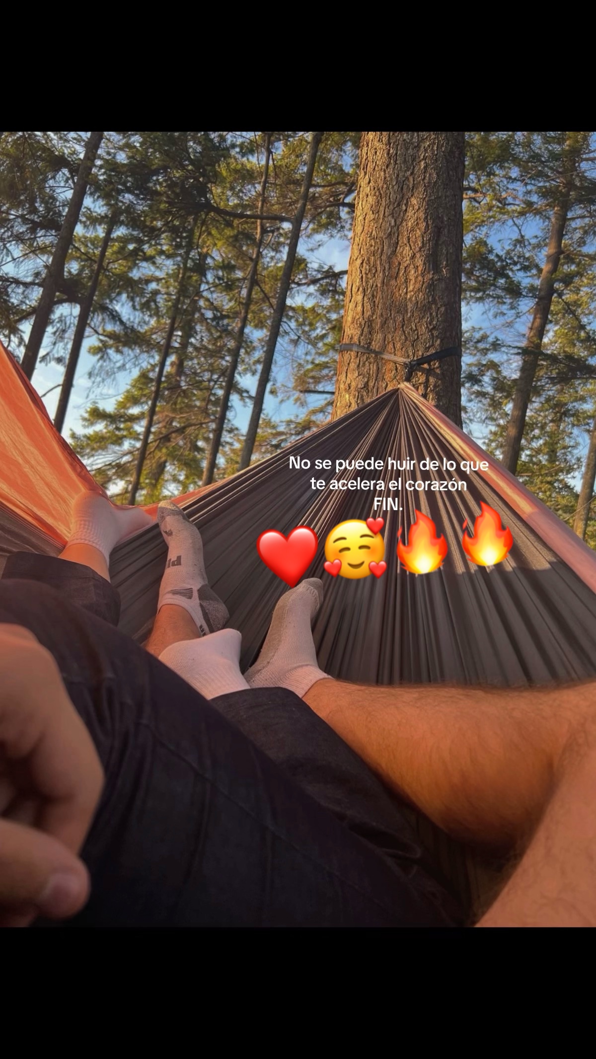 @Flakis7