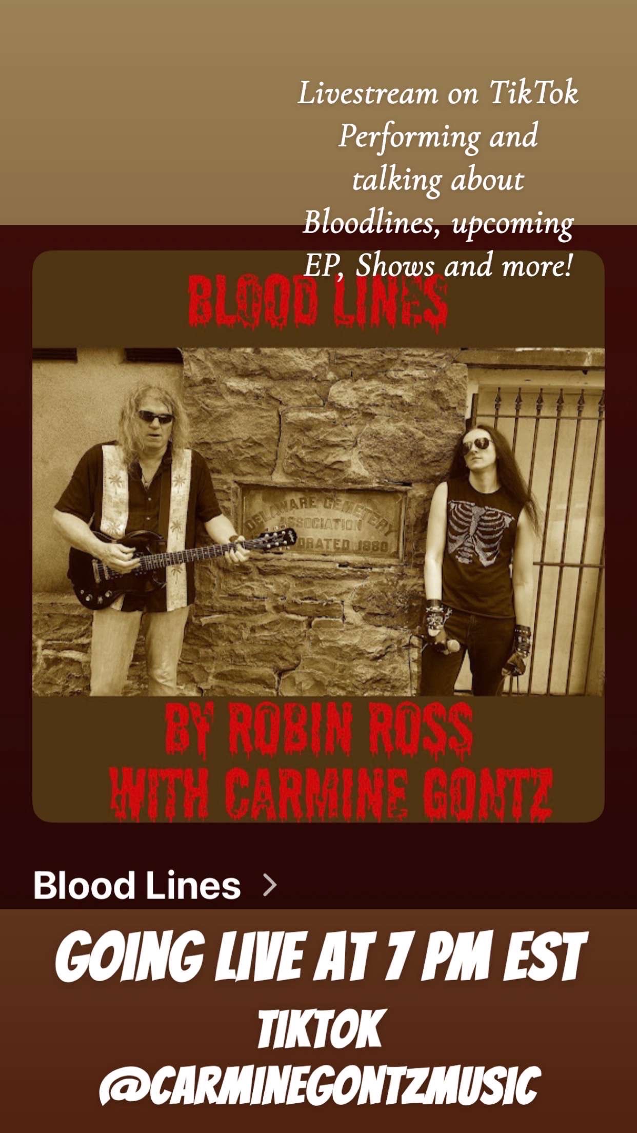 @CarmineGontzMusic