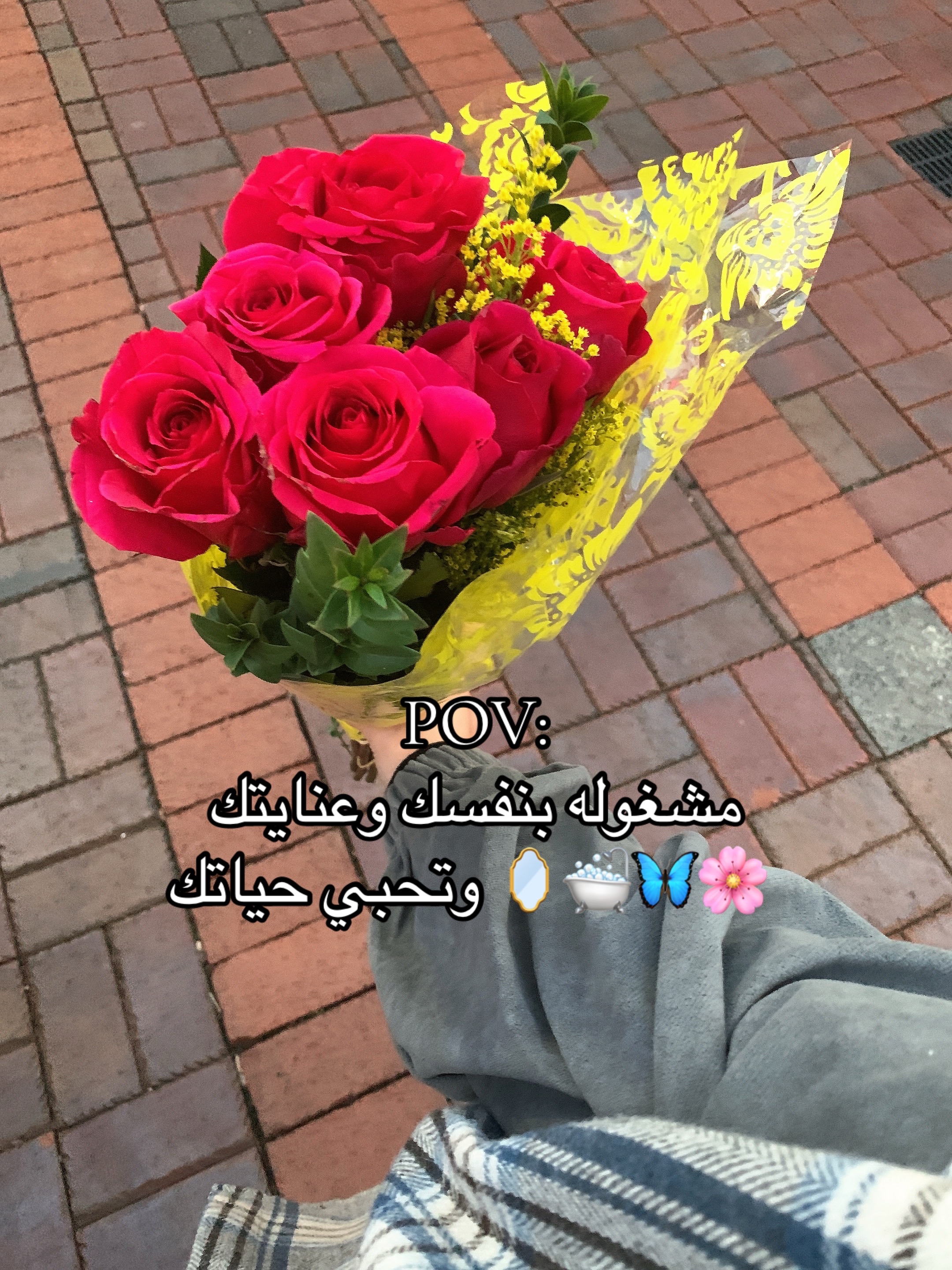 @حور في امريكا