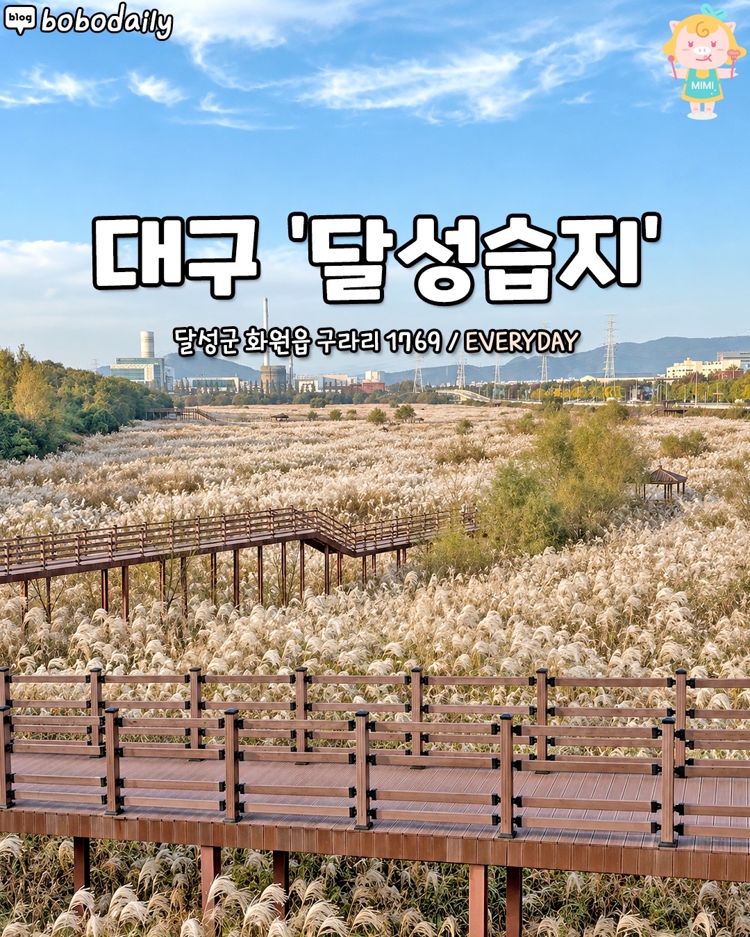 @대구핫플