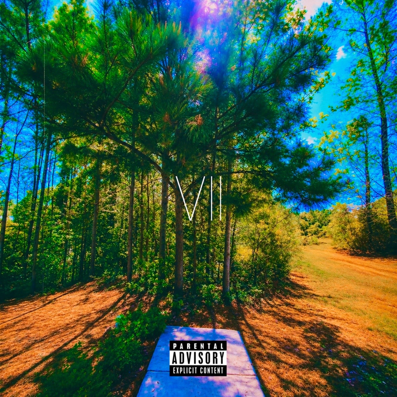 @VOIISE🪽