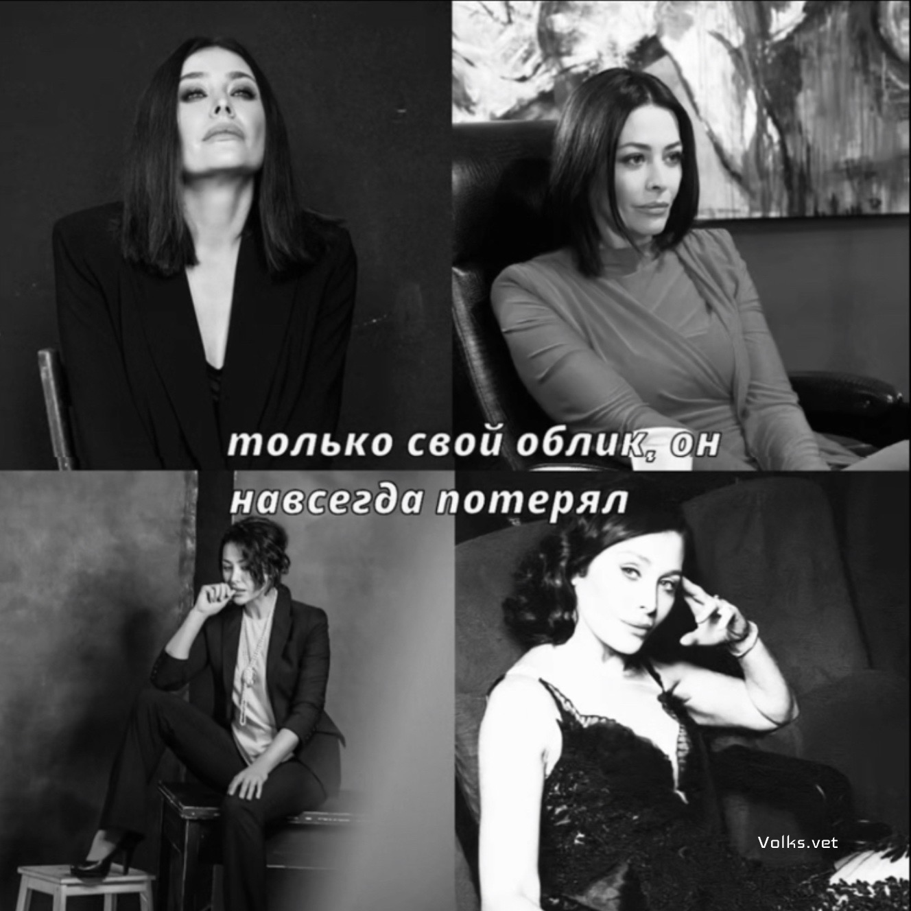 @𝑽𝒐𝒍𝒌𝒔.𝒗𝒆𝒕🐺