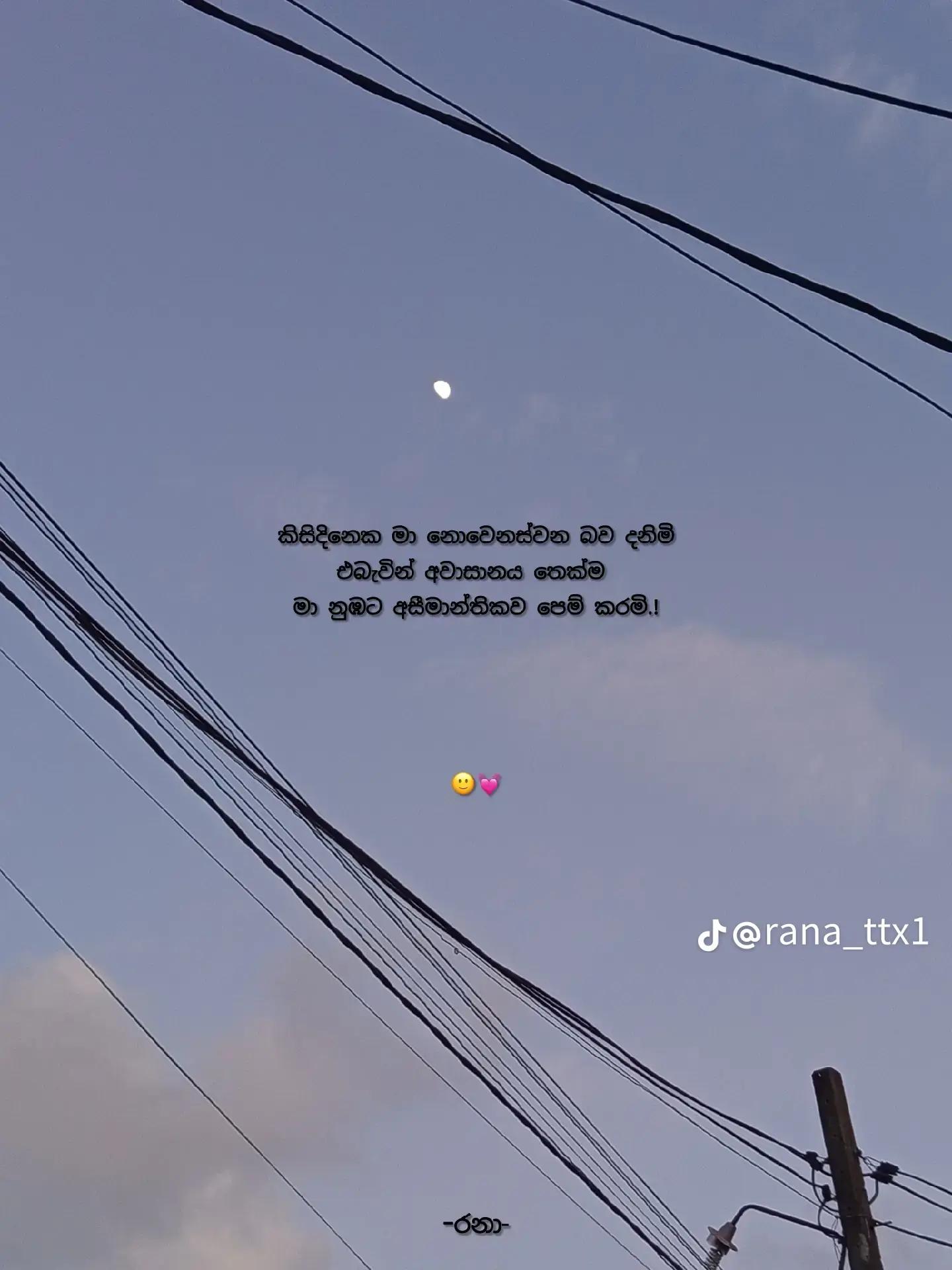 @[sachii]🧸❤️&zwj;🩹📌️🥀