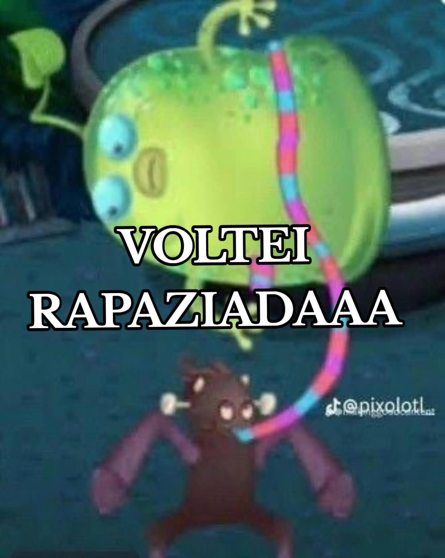 @Guia de MSM BR