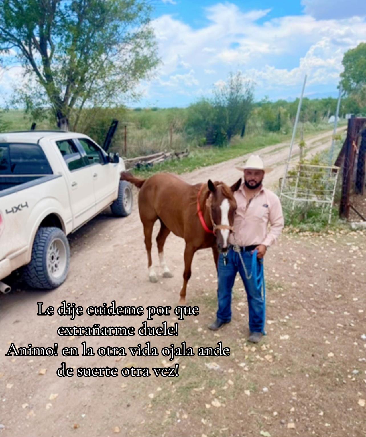 @alfonsogoytia