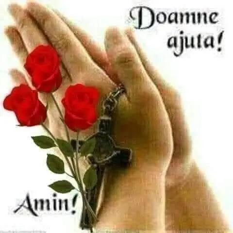 @validumitru209