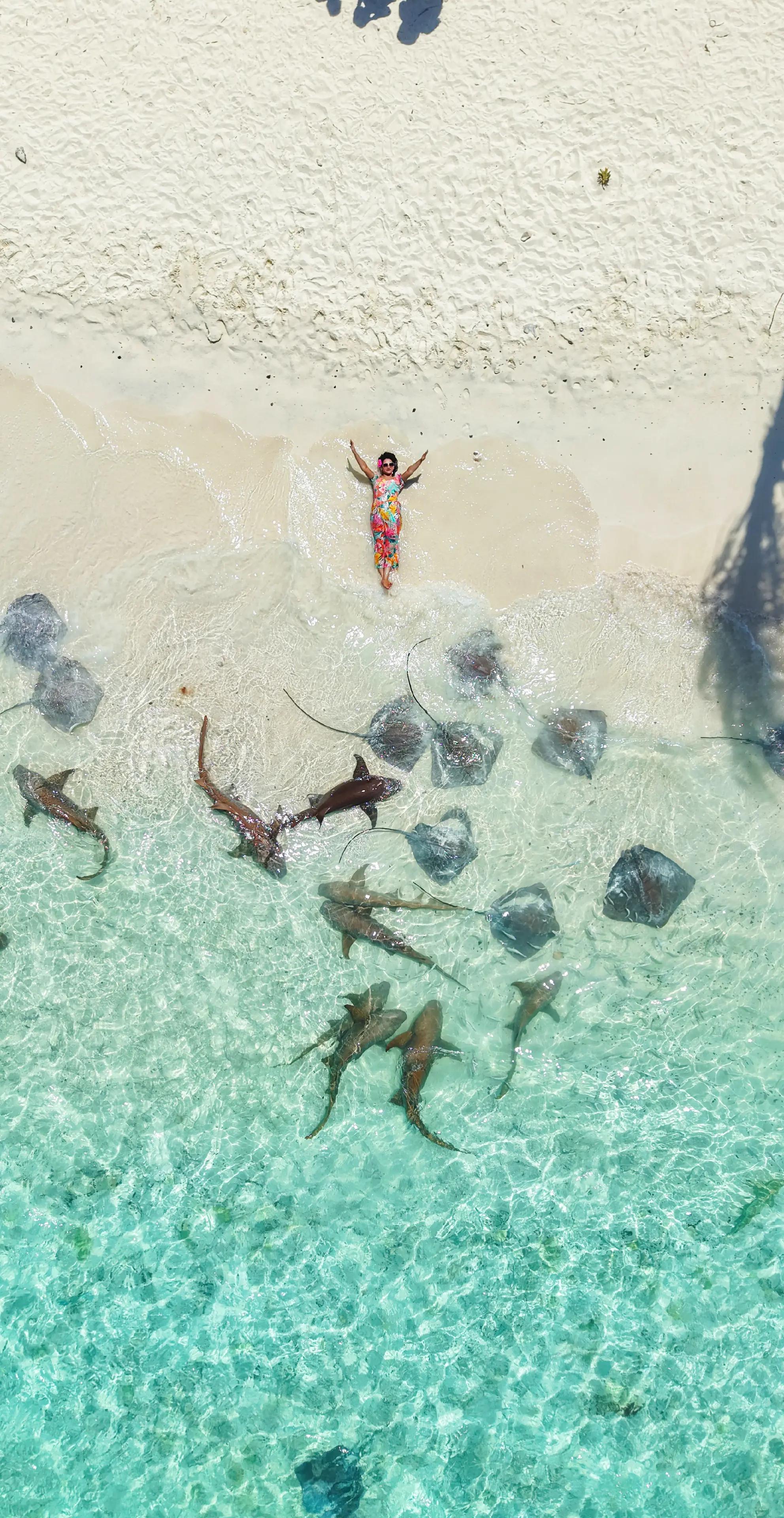 @🎀Twinkie with Pinky🎀