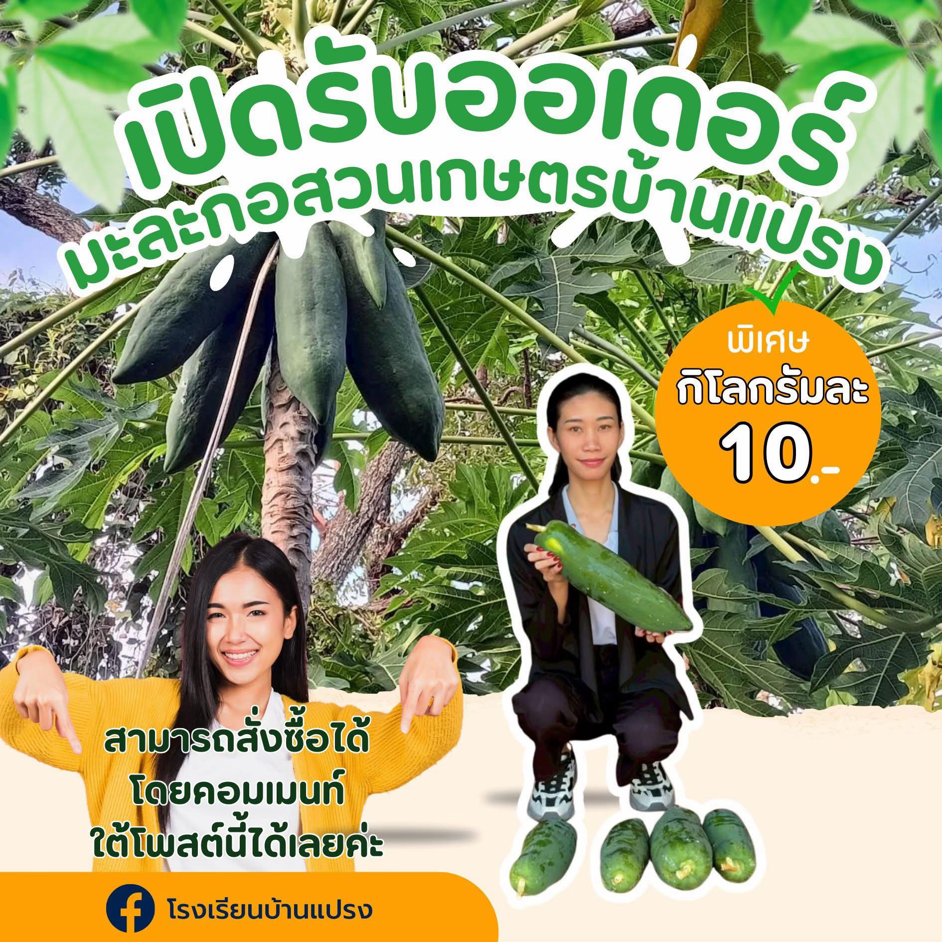 @โรงเรียนบ้านแปรง