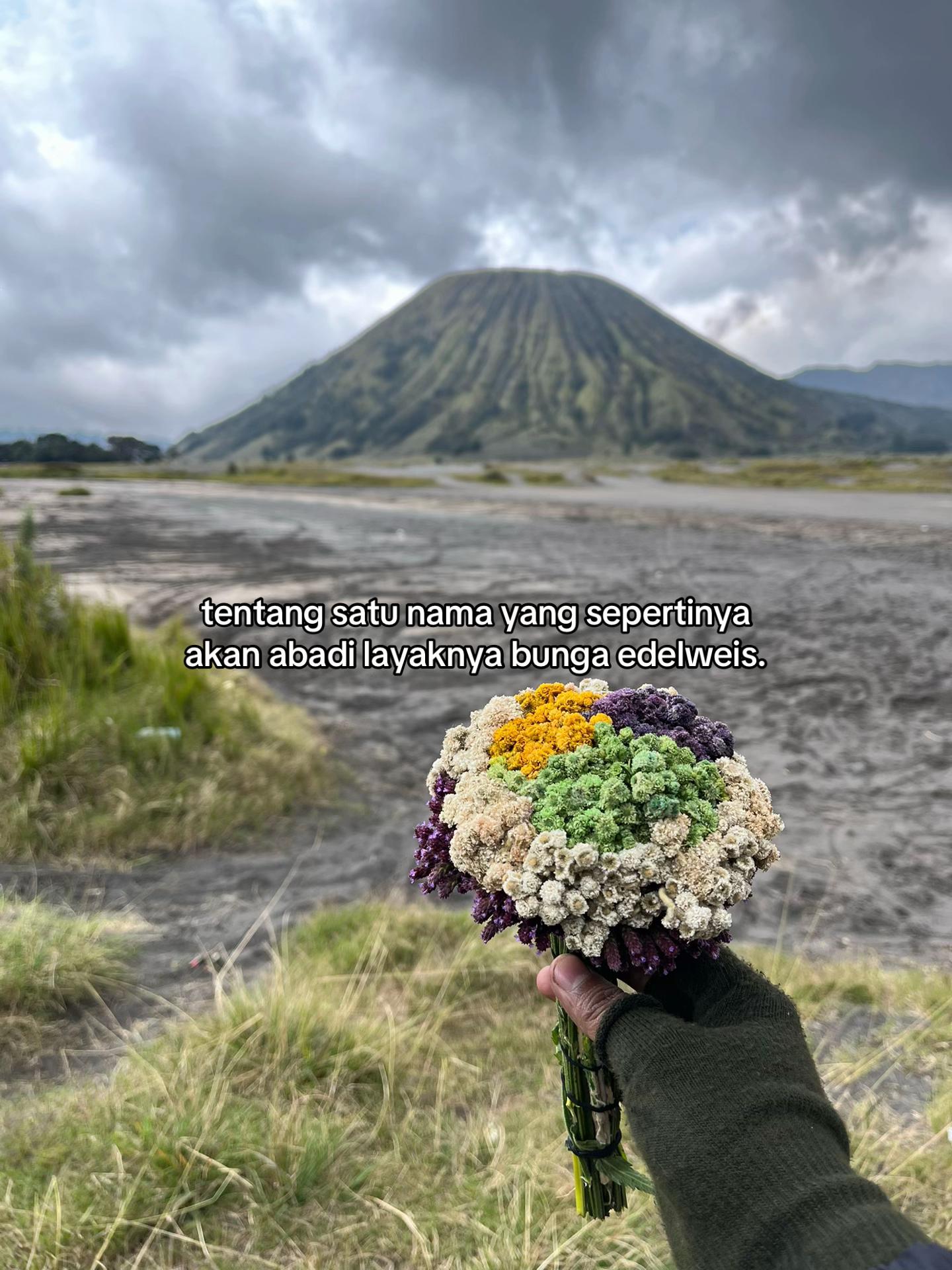 @ryansaputra846_