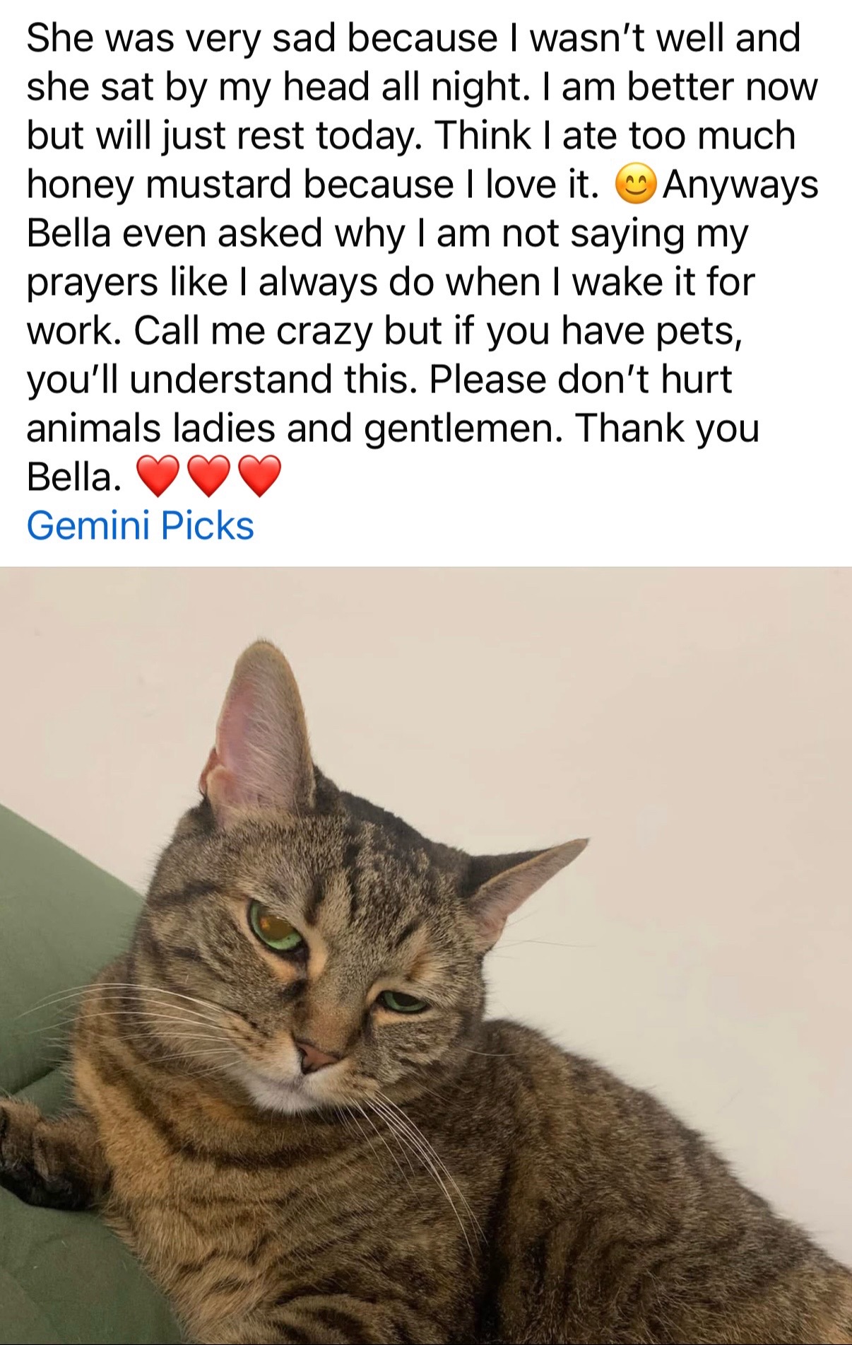 @Sheronne Gemini ❤️